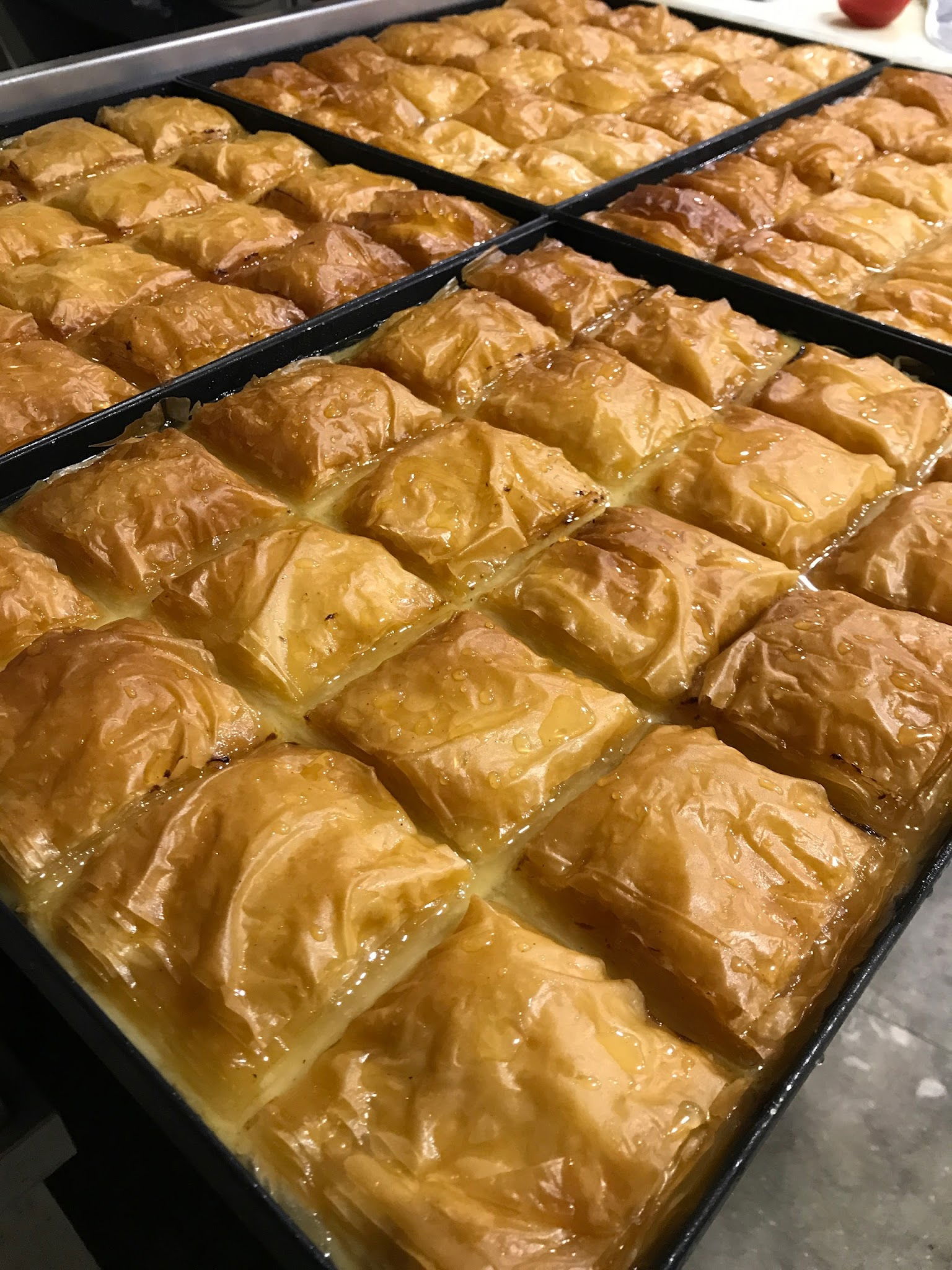 Hamsi Balık Lokantası - Balgat