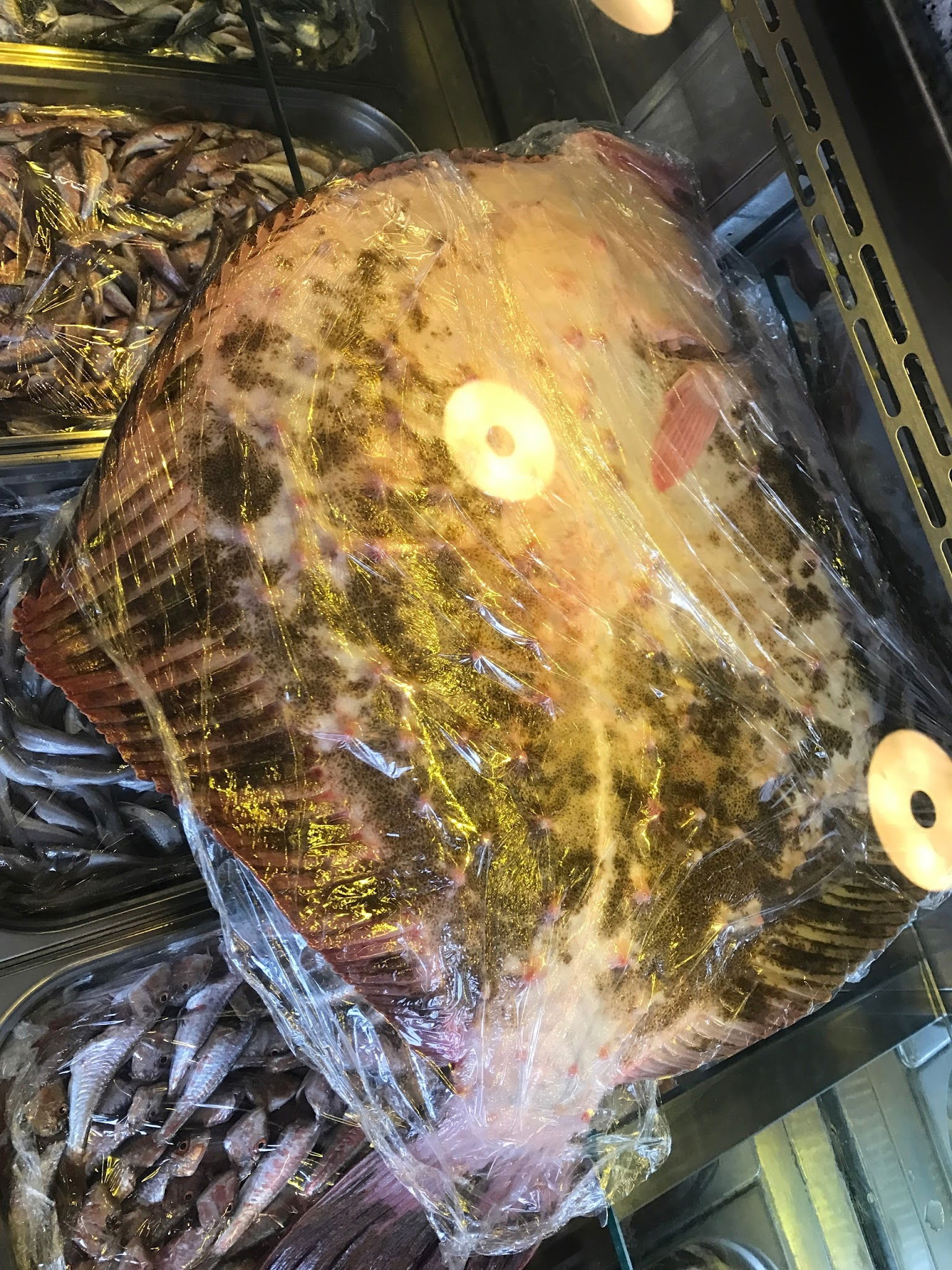 Hamsi Balık Lokantası - Balgat