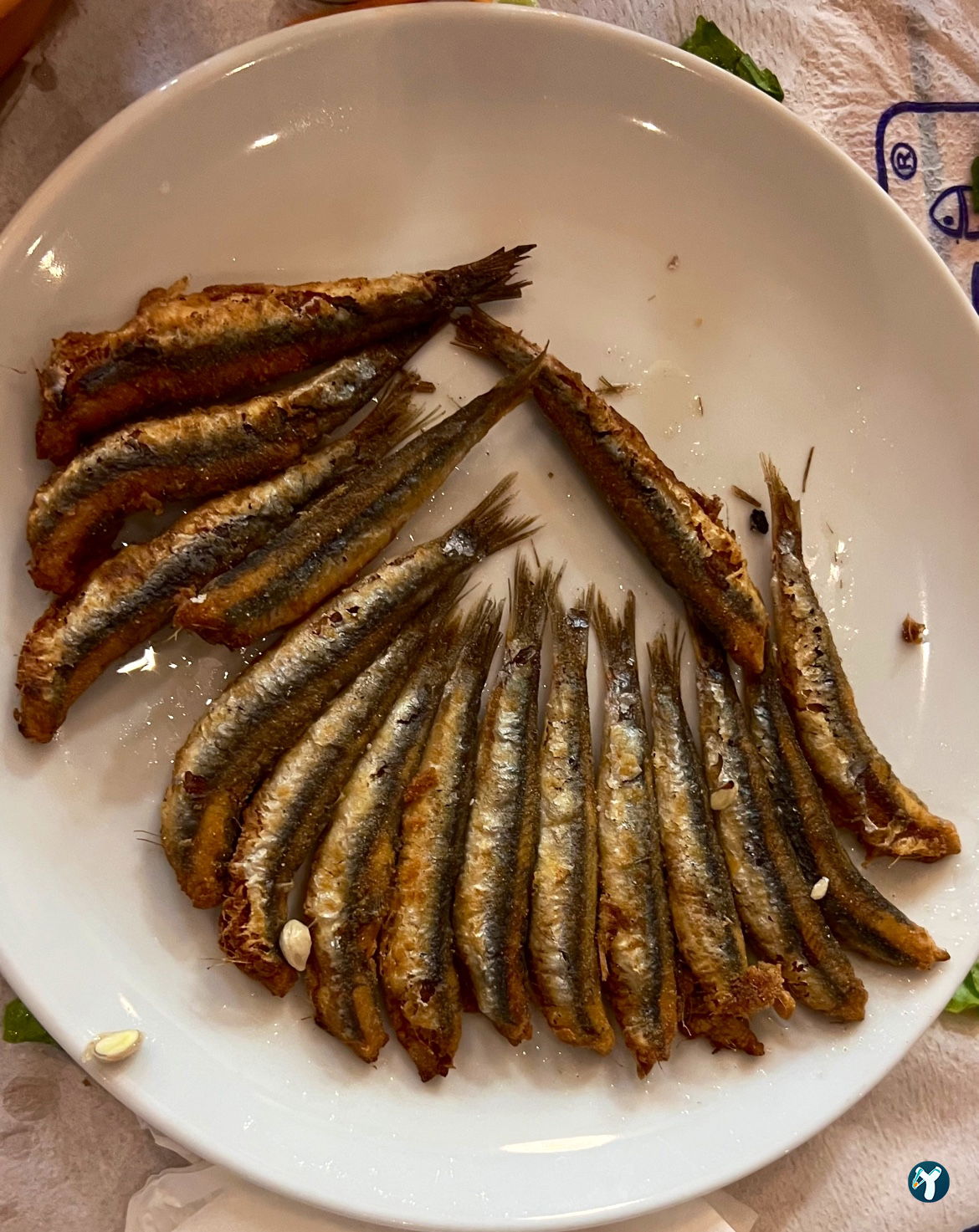 Hamsi Balık Lokantası - Balgat