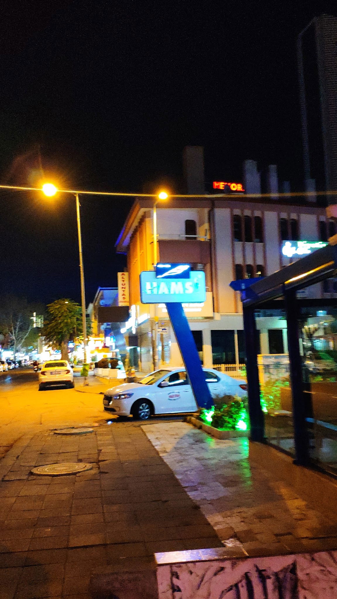 Hamsi Balık Lokantası - Balgat