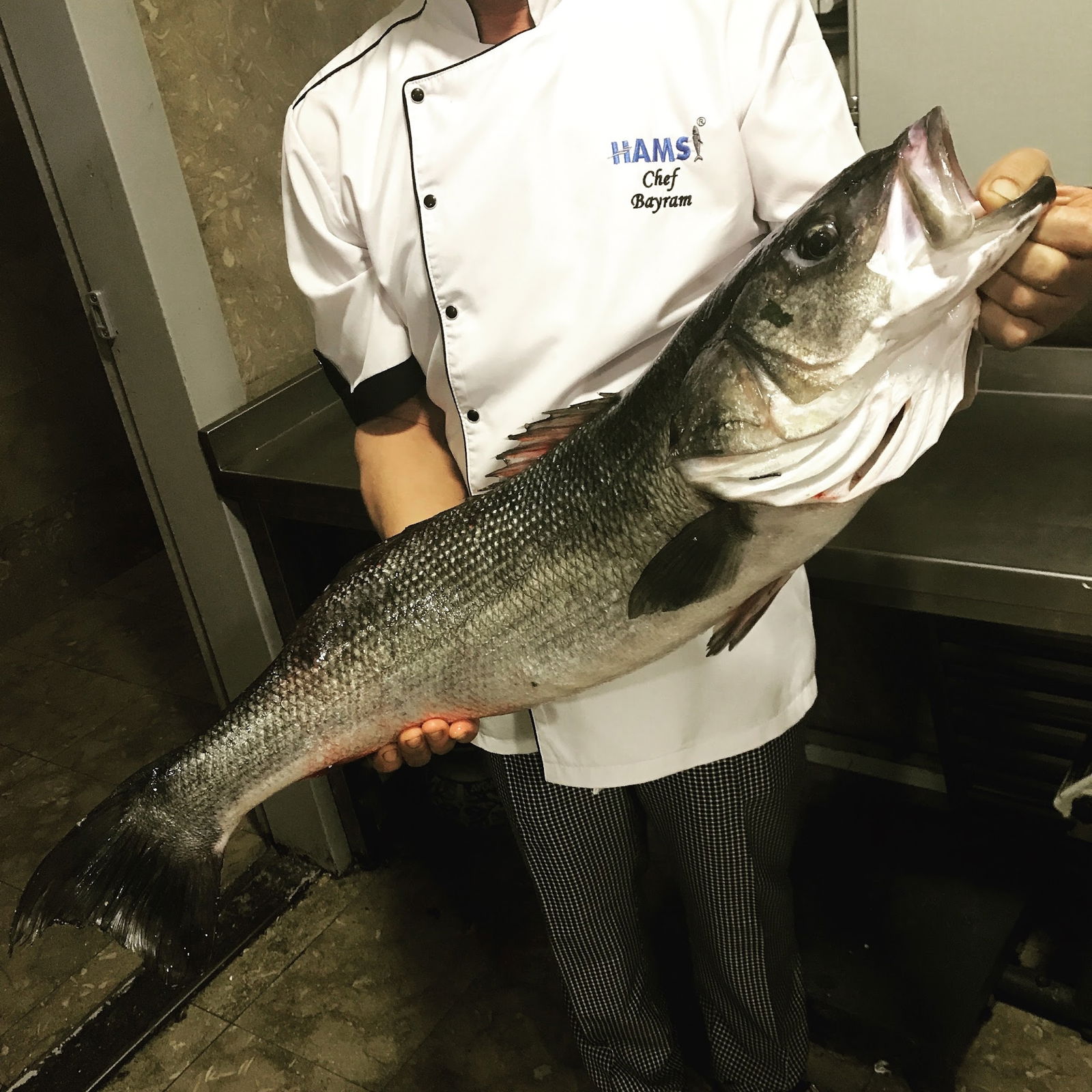 Hamsi Balık Lokantası - Balgat