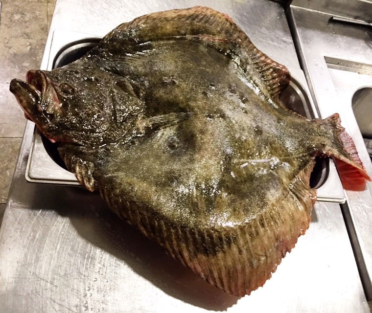 Hamsi Balık Lokantası - Balgat