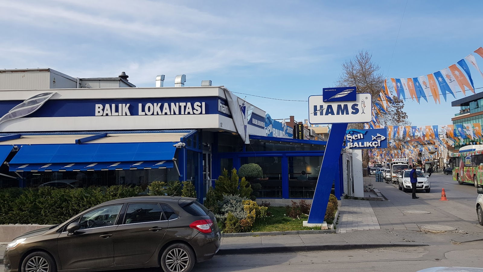 Hamsi Balık Lokantası - Balgat