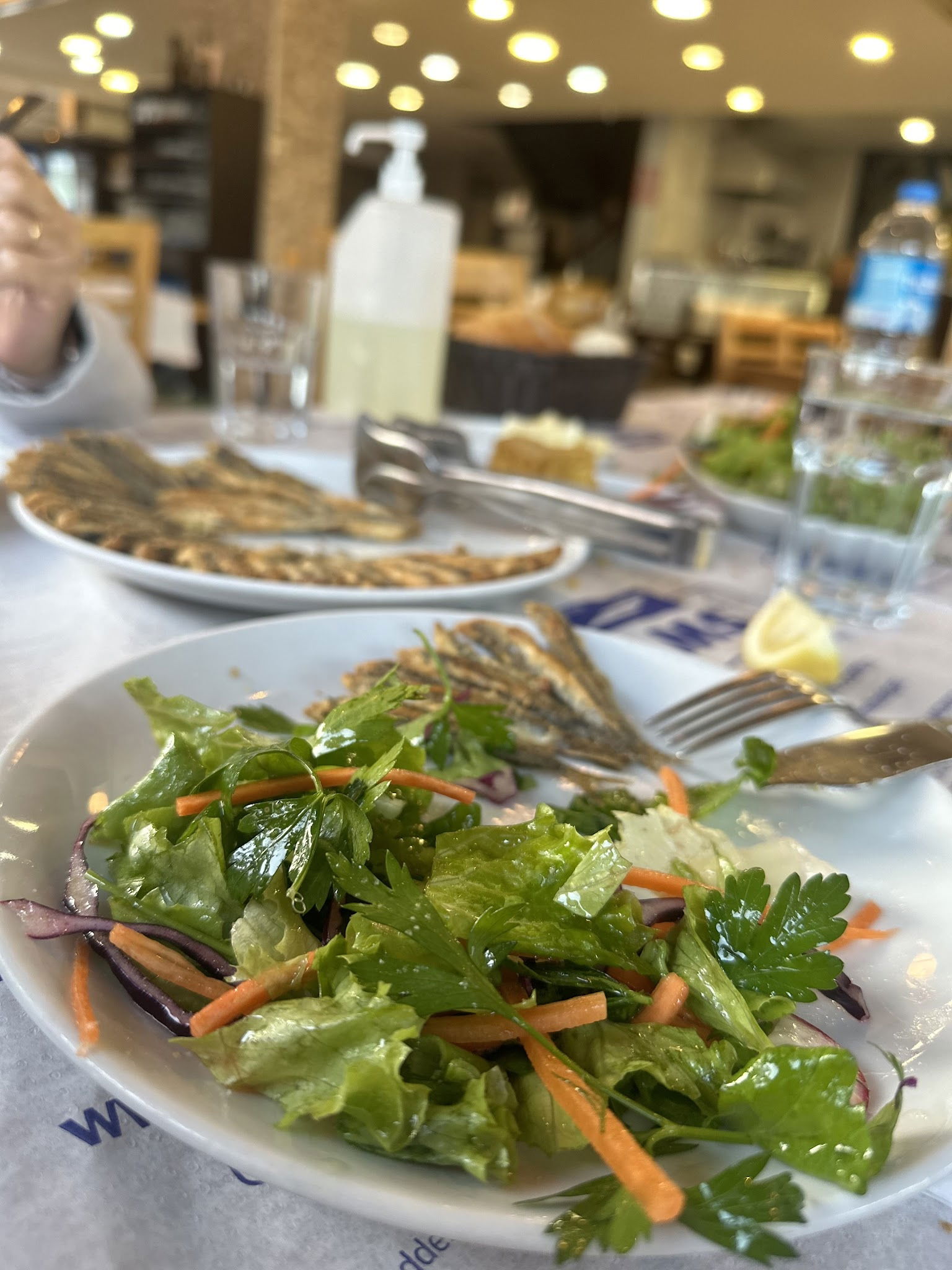 Hamsi Balık Lokantası - Balgat