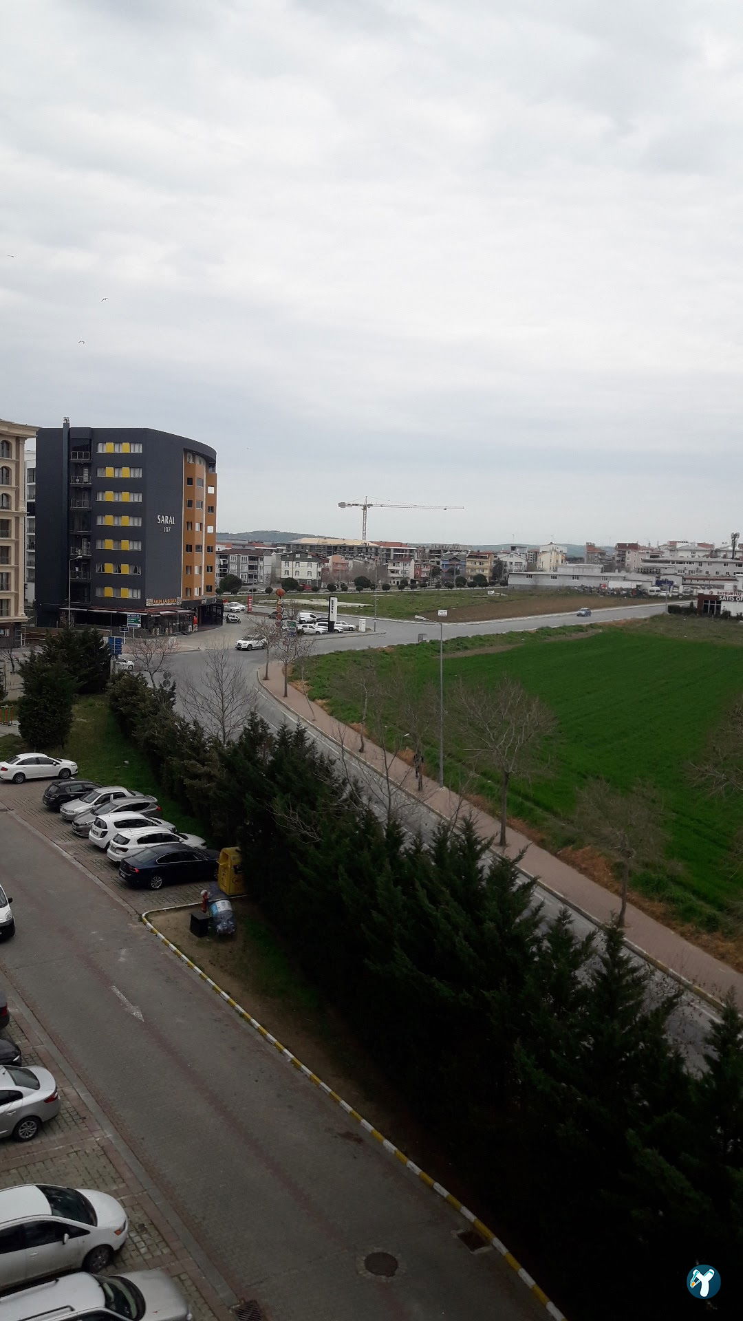 Bordo Mavi