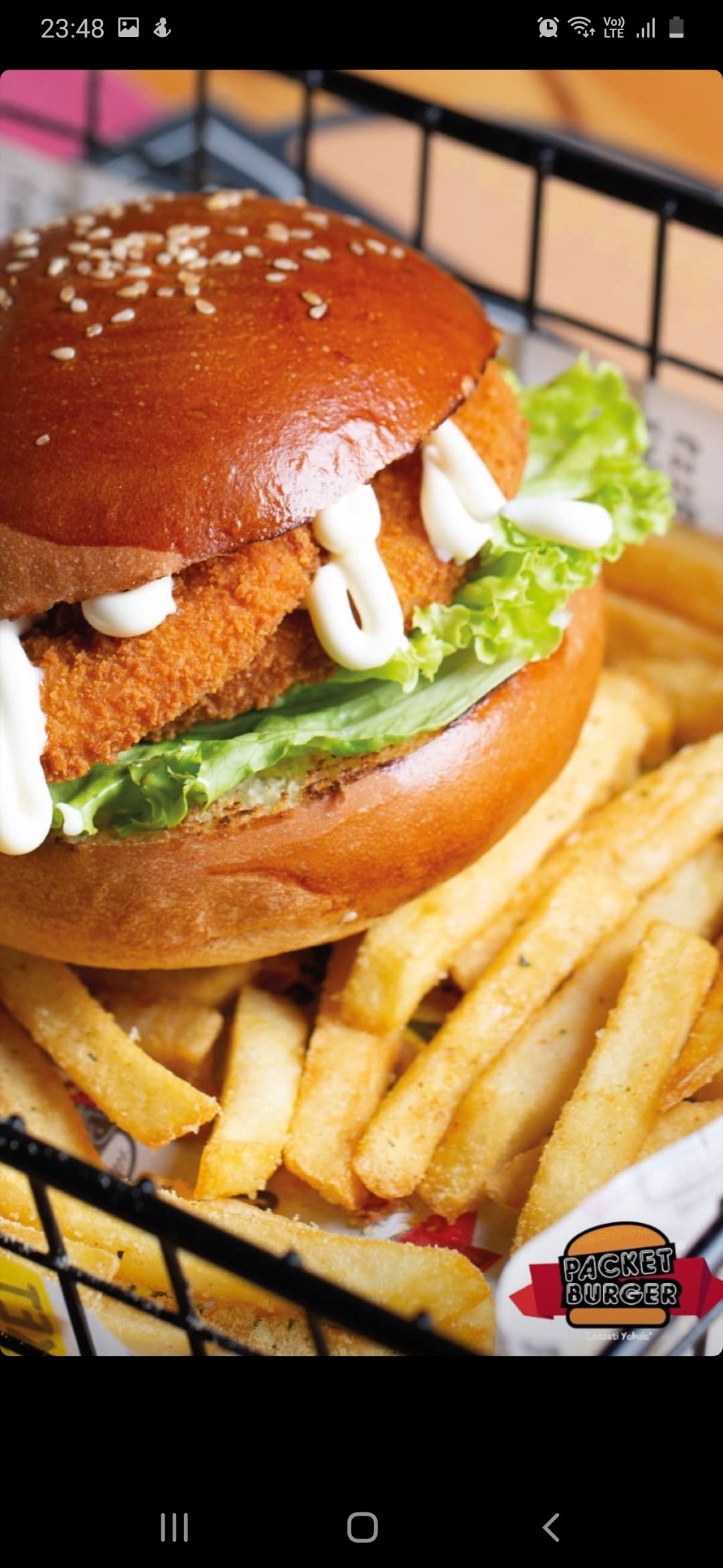 Packet Burger Körfez