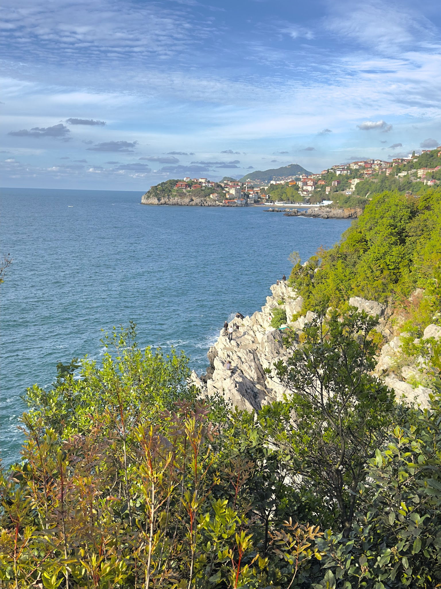 Tmmob Makina Mühemdisleri Odası Zonguldak Şube Lolali