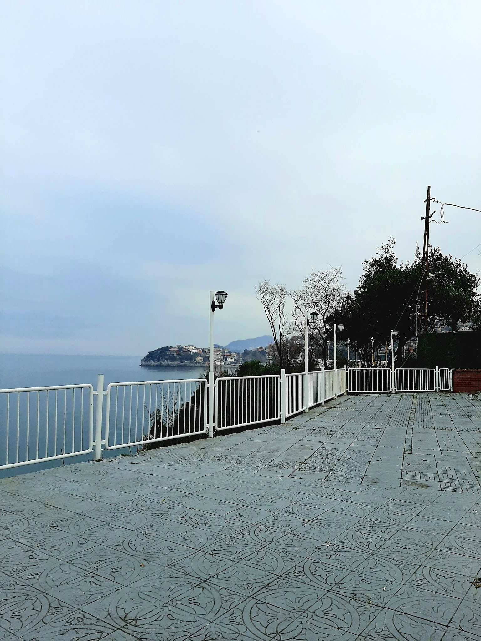 Tmmob Makina Mühemdisleri Odası Zonguldak Şube Lolali