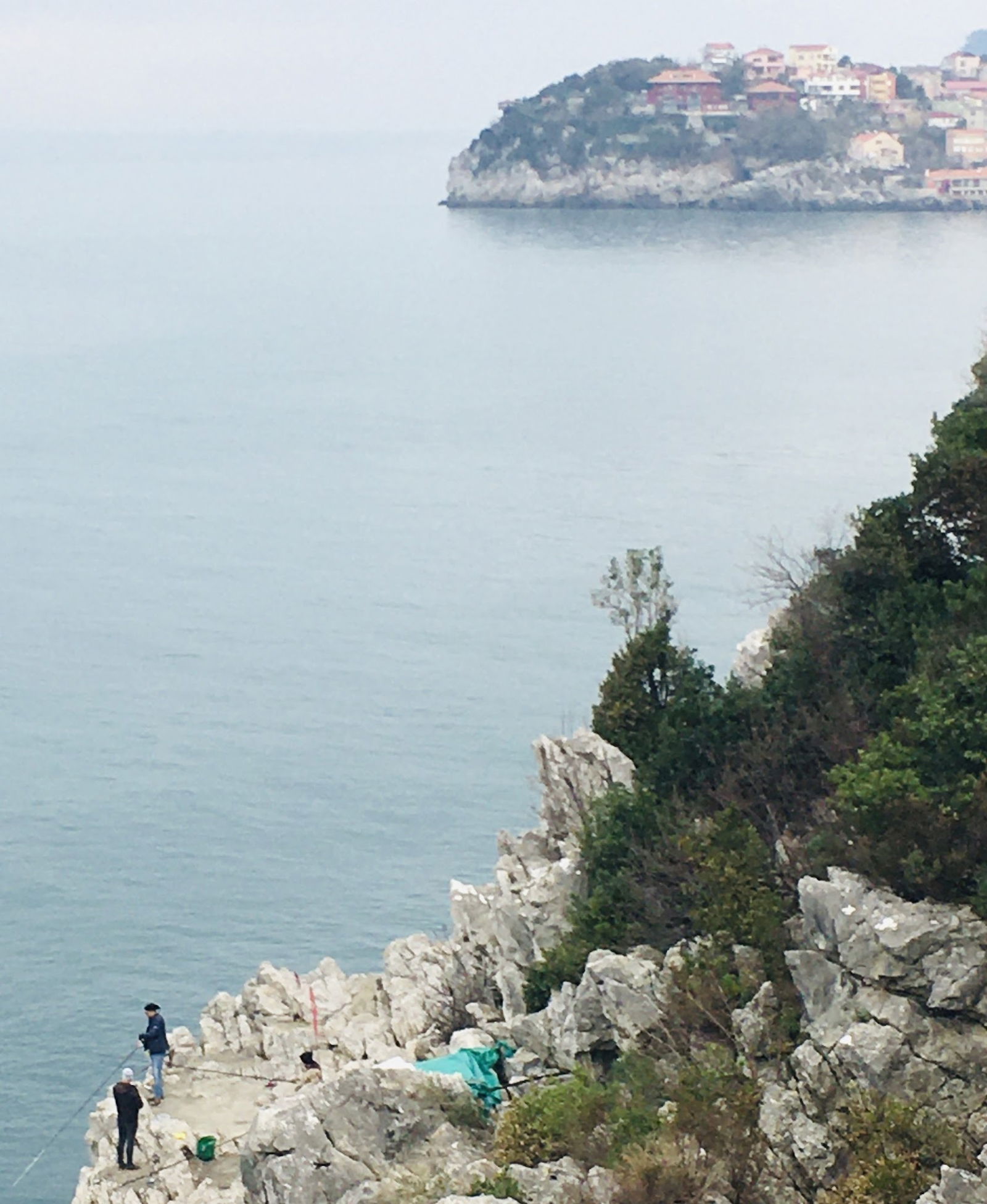 Tmmob Makina Mühemdisleri Odası Zonguldak Şube Lolali