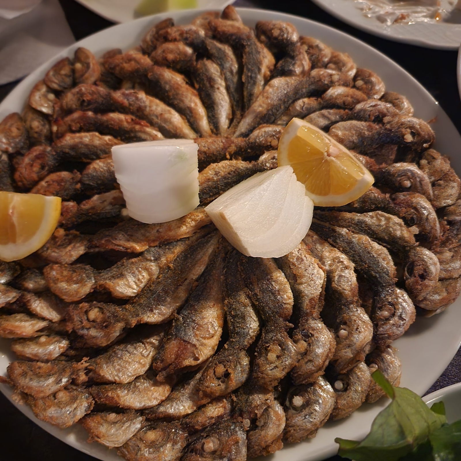 Tmmob Makina Mühemdisleri Odası Zonguldak Şube Lolali