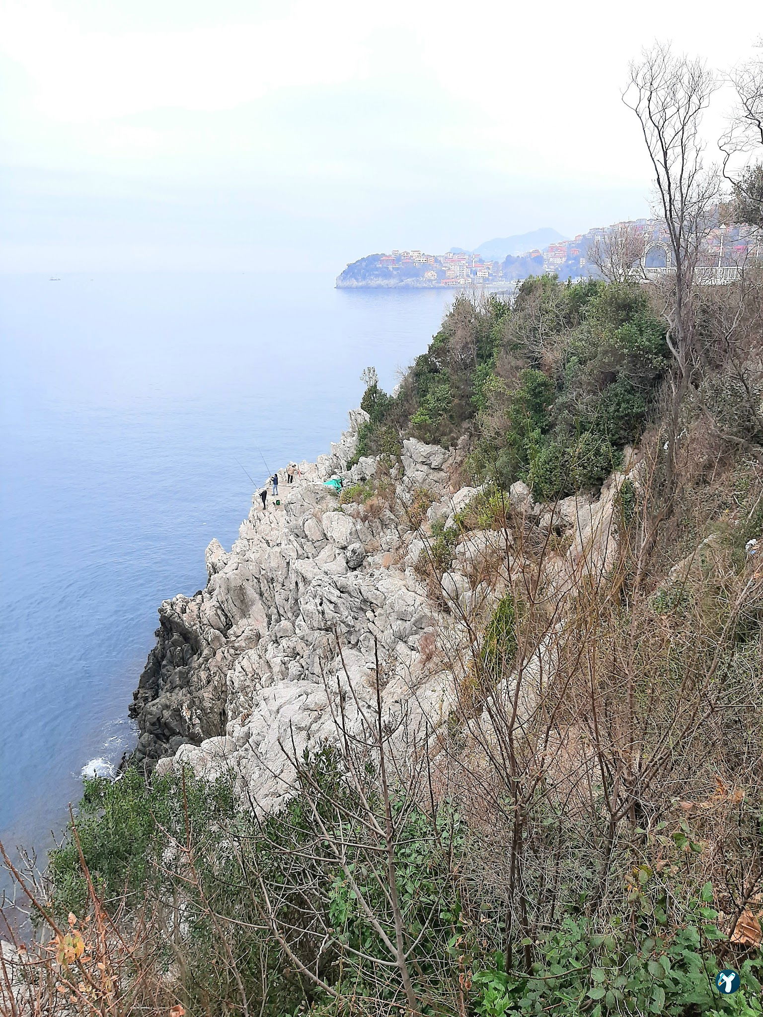 Tmmob Makina Mühemdisleri Odası Zonguldak Şube Lolali