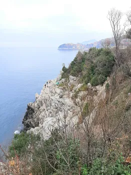 Tmmob Makina Mühemdisleri Odası Zonguldak Şube Lolali resimleri