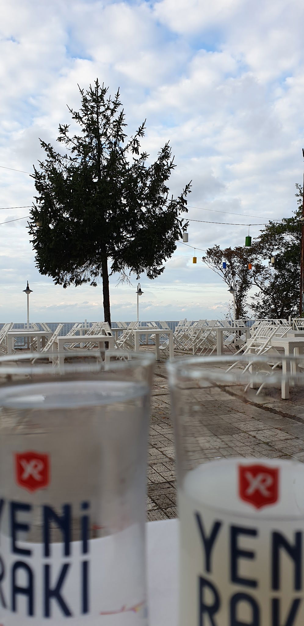 Tmmob Makina Mühemdisleri Odası Zonguldak Şube Lolali