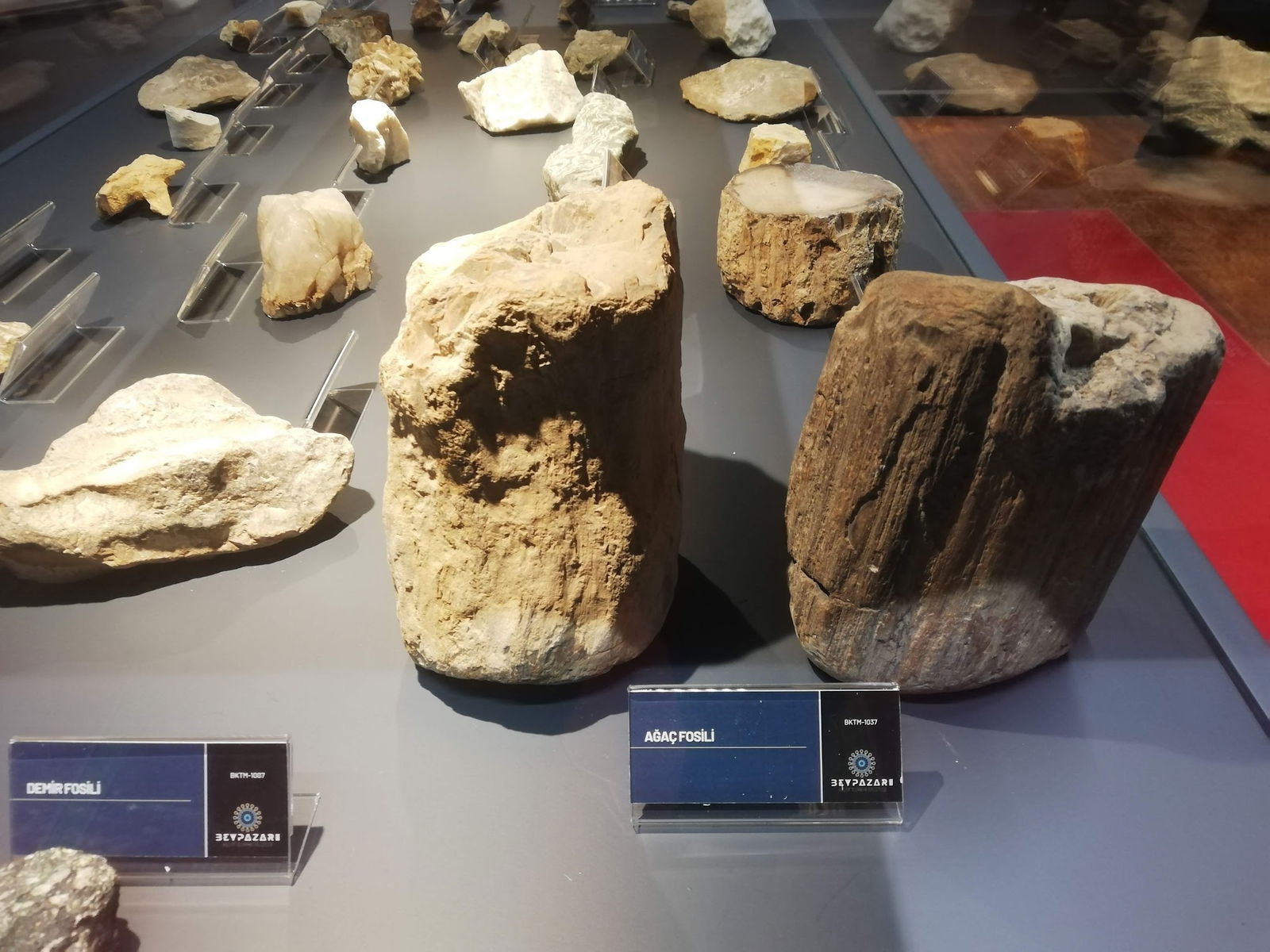 Halk Evi Kahvaltı Çay Bahçesi