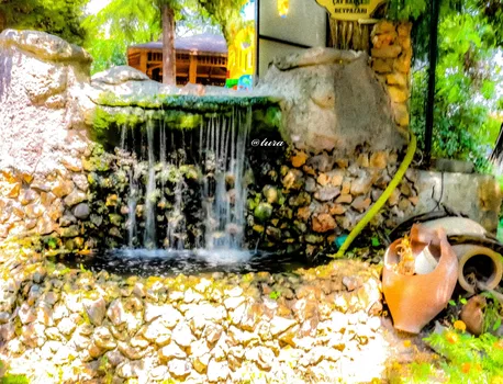 Halk Evi Kahvaltı Çay Bahçesi resimleri