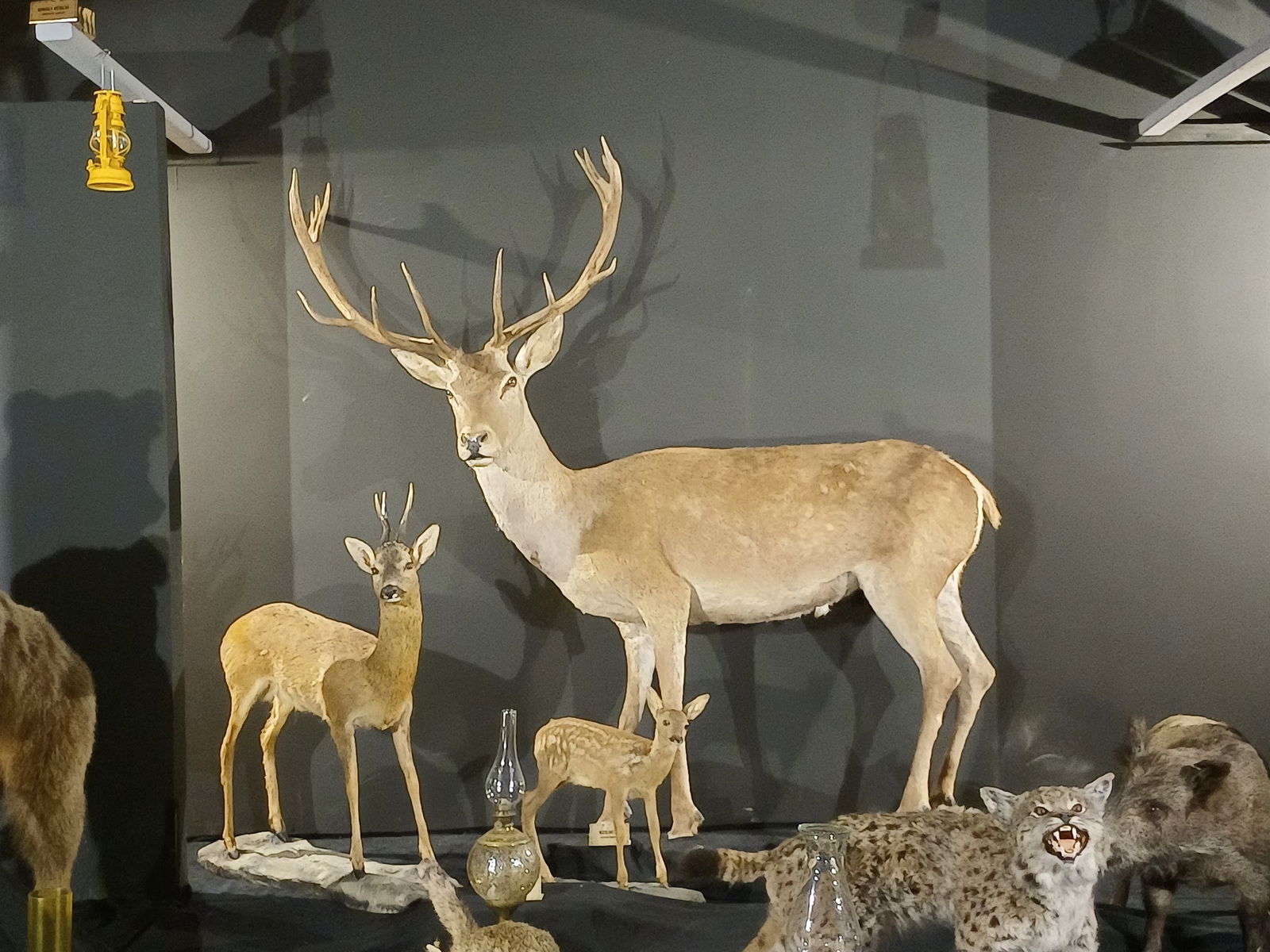 Halk Evi Kahvaltı Çay Bahçesi