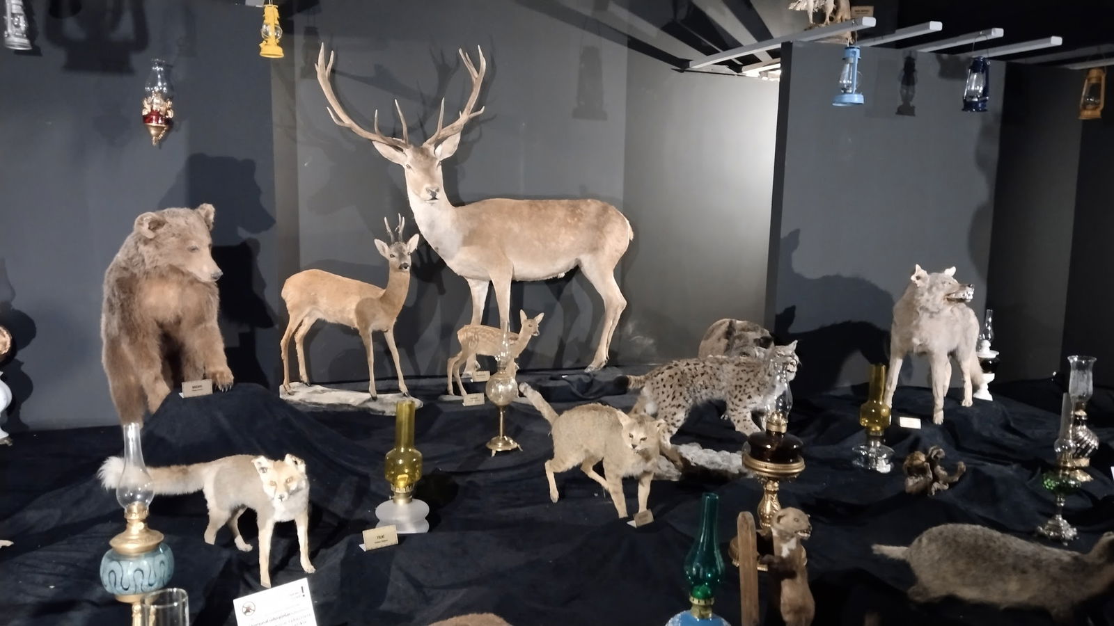 Halk Evi Kahvaltı Çay Bahçesi