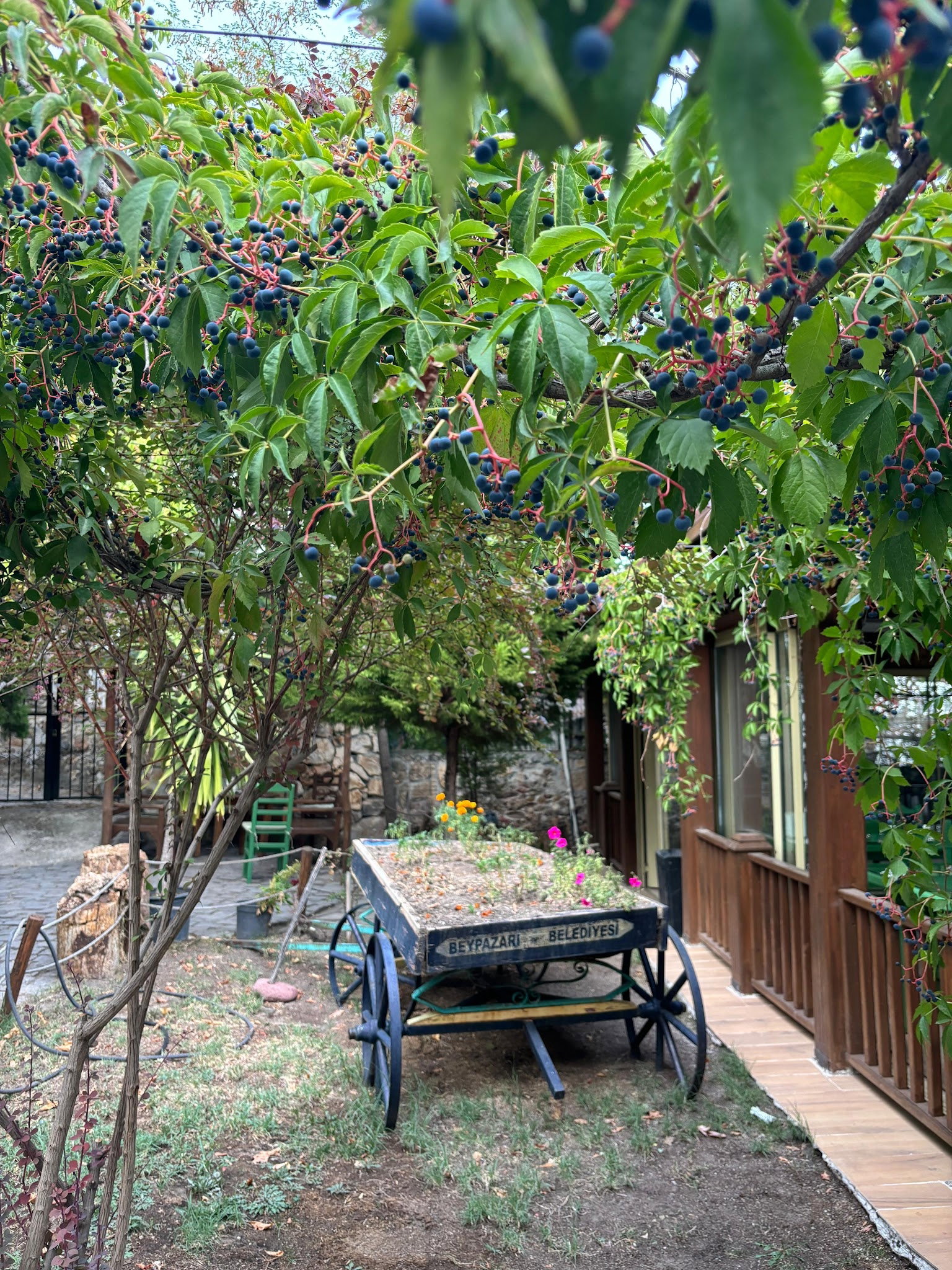 Halk Evi Kahvaltı Çay Bahçesi