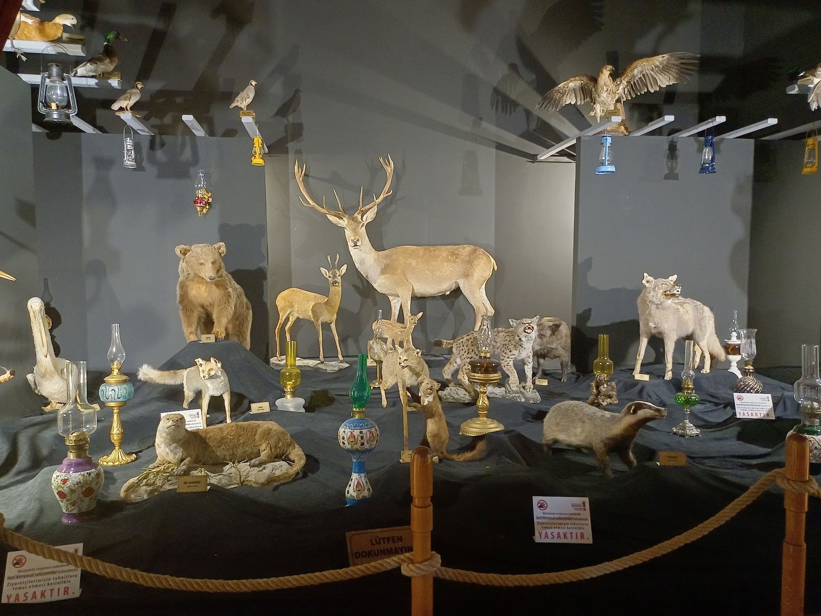 Halk Evi Kahvaltı Çay Bahçesi