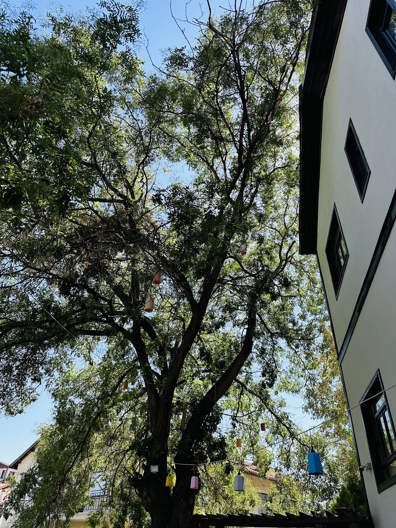 Halk Evi Kahvaltı Çay Bahçesi