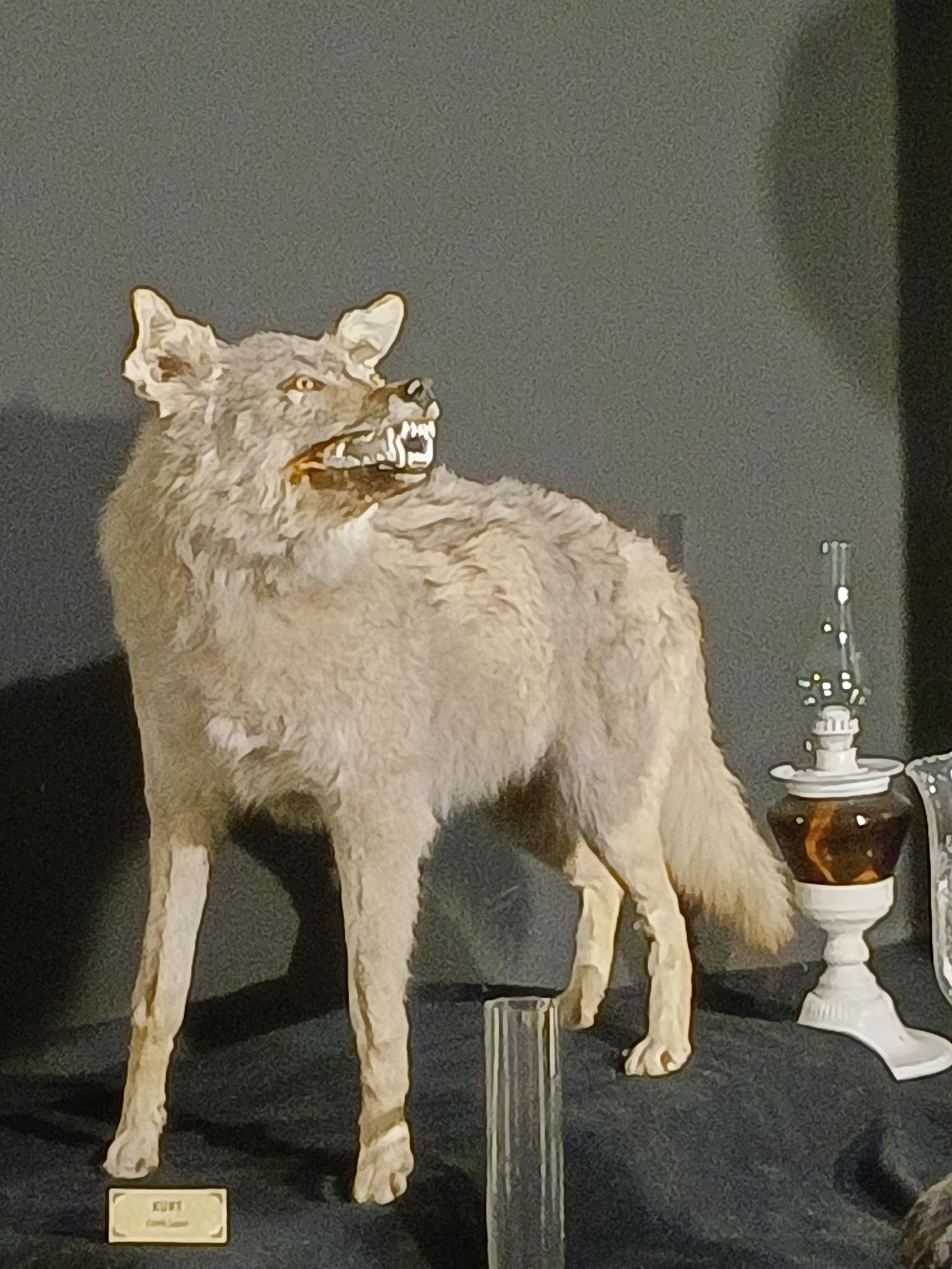 Halk Evi Kahvaltı Çay Bahçesi