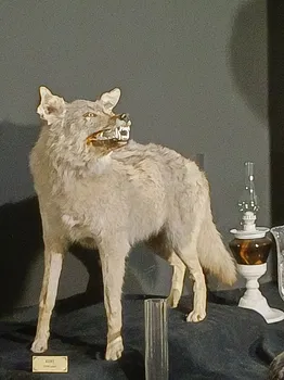 Halk Evi Kahvaltı Çay Bahçesi resimleri