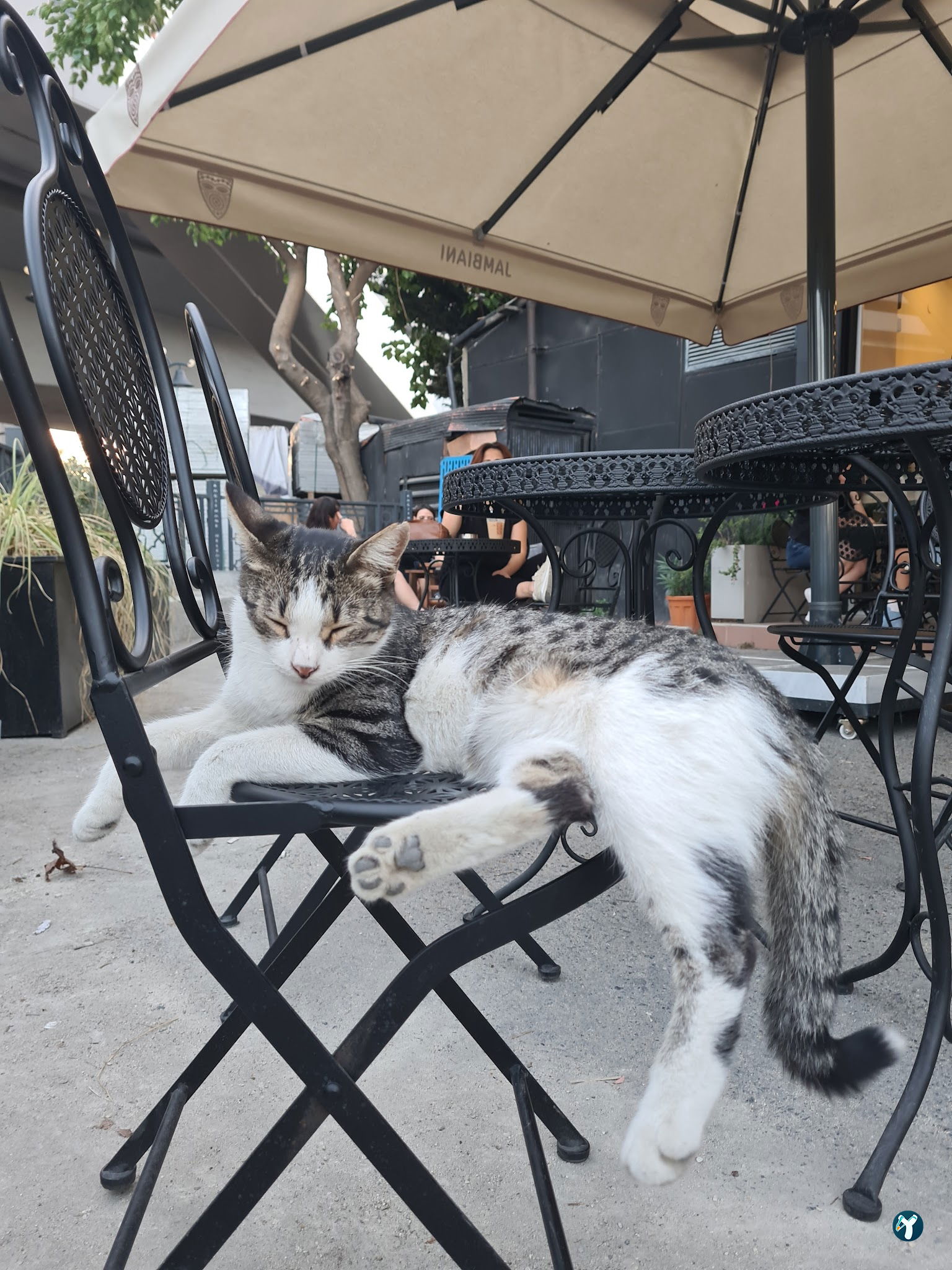 Cafe Jambiani