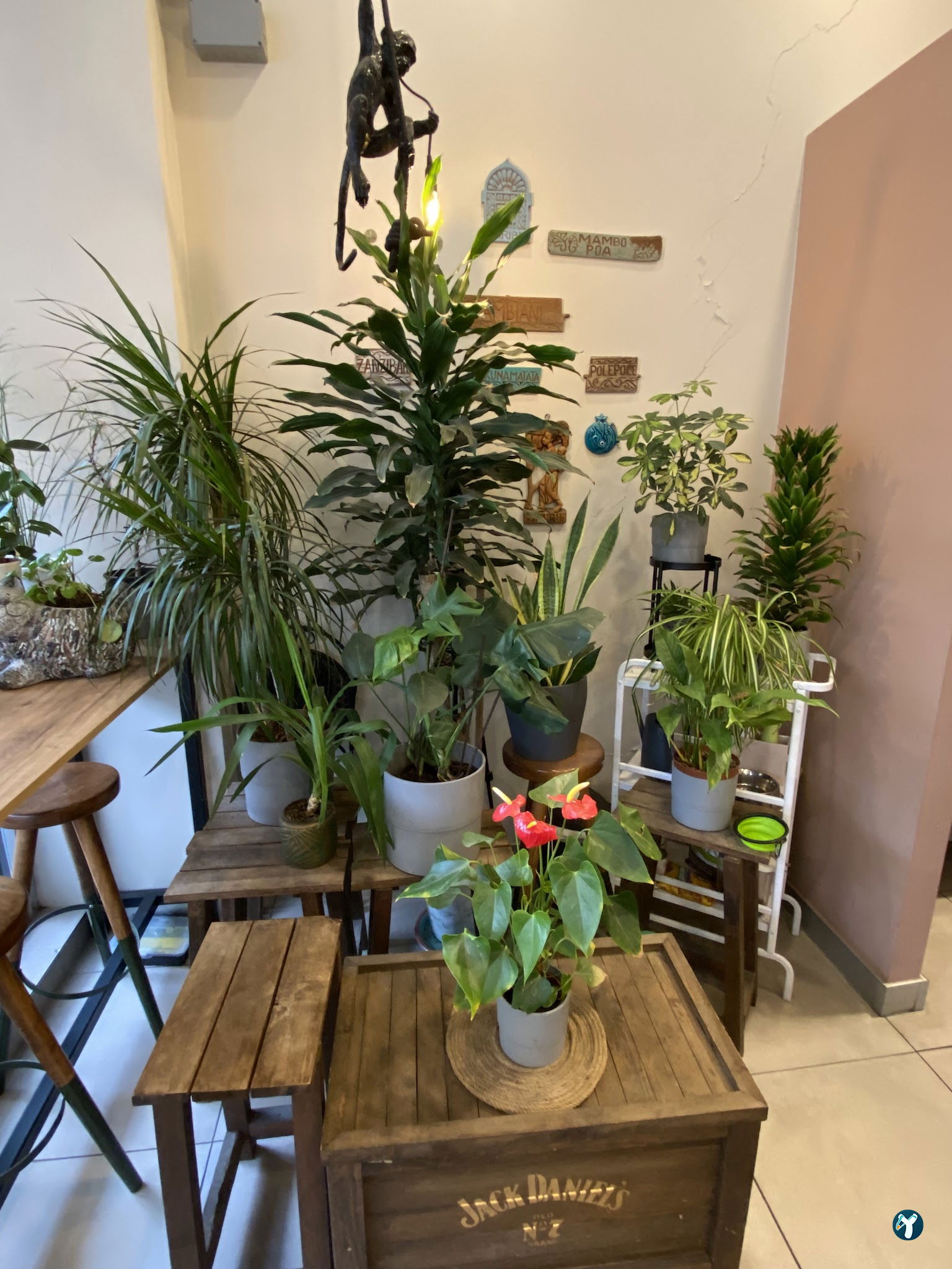 Cafe Jambiani