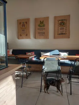 Cafe Jambiani resimleri Cafe Jambiani resimleri