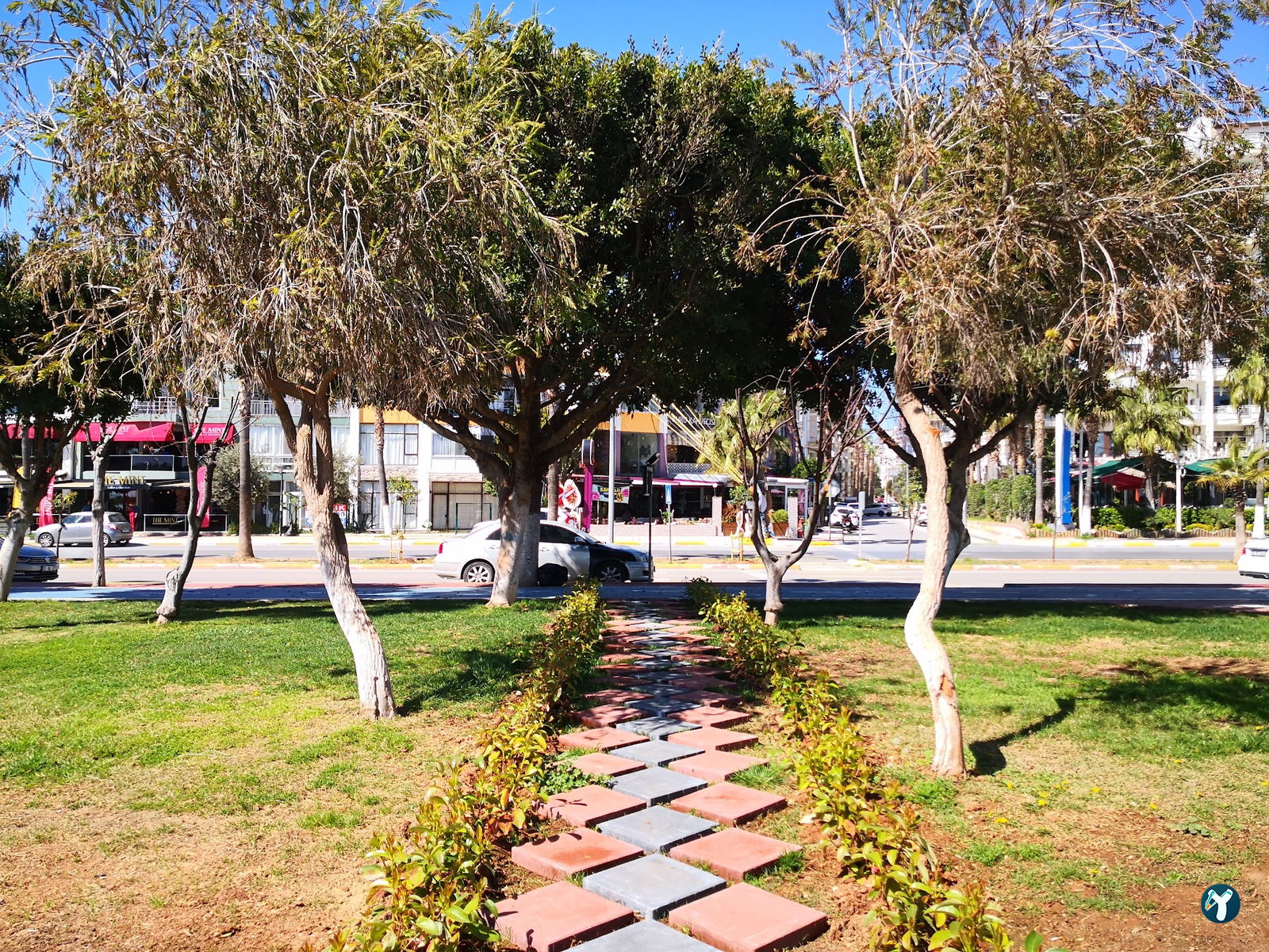 Limon Kafe