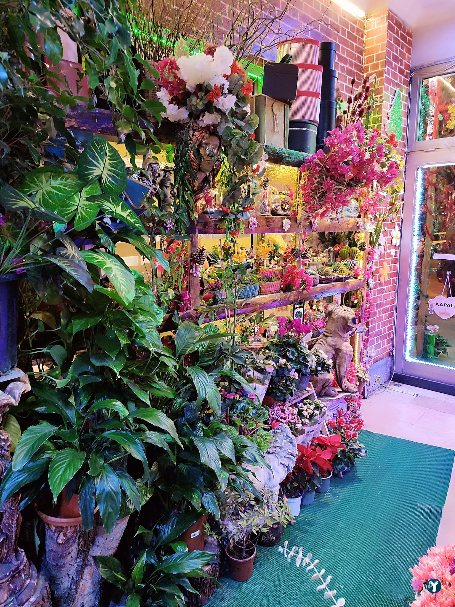 Mint Garden Lounge