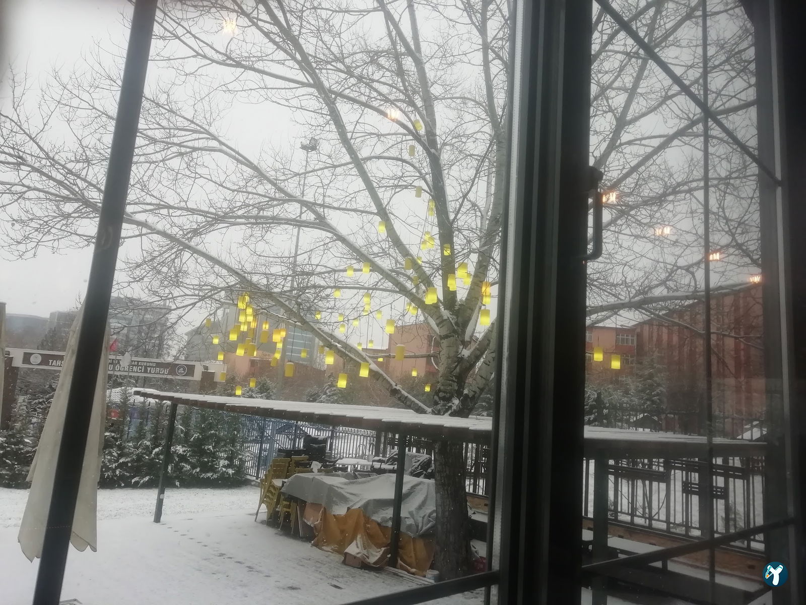 Mint Garden Lounge