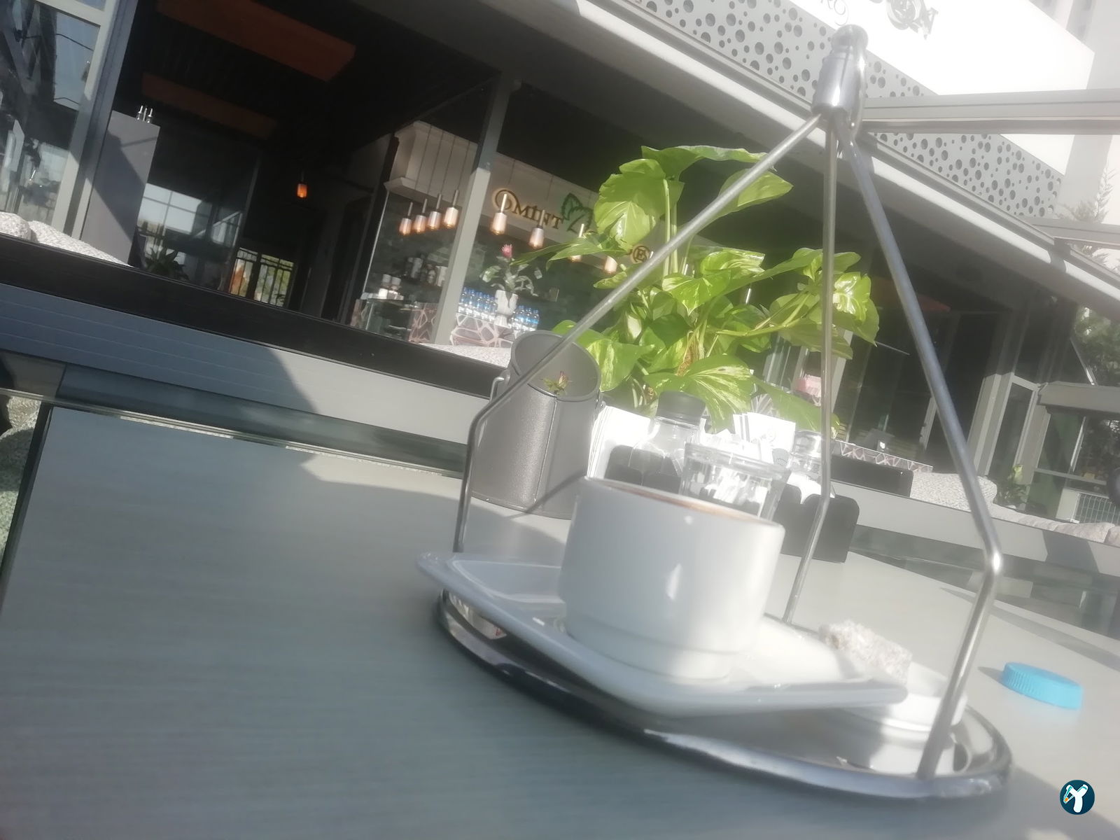 Mint Garden Lounge