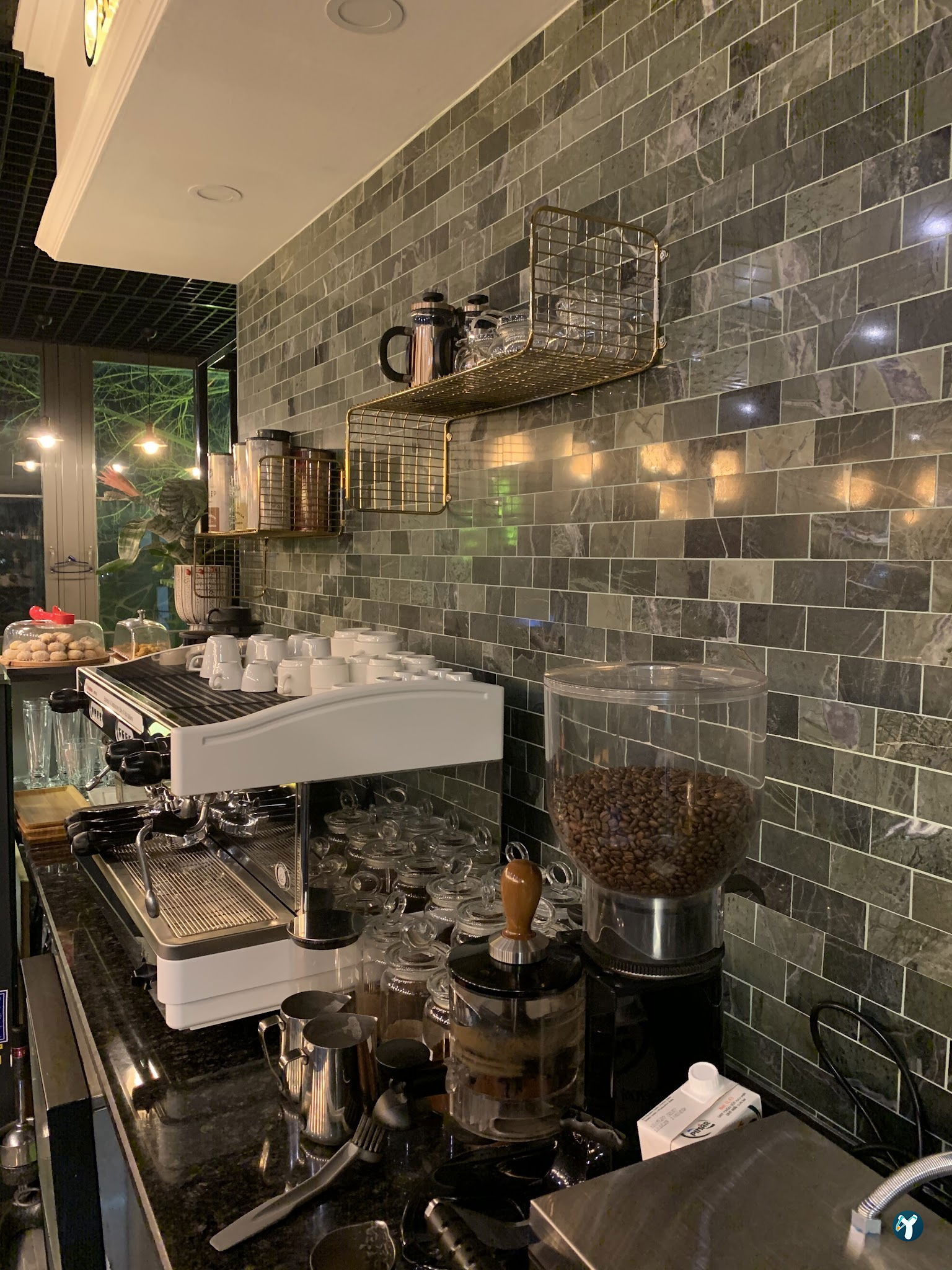 Mint Garden Lounge