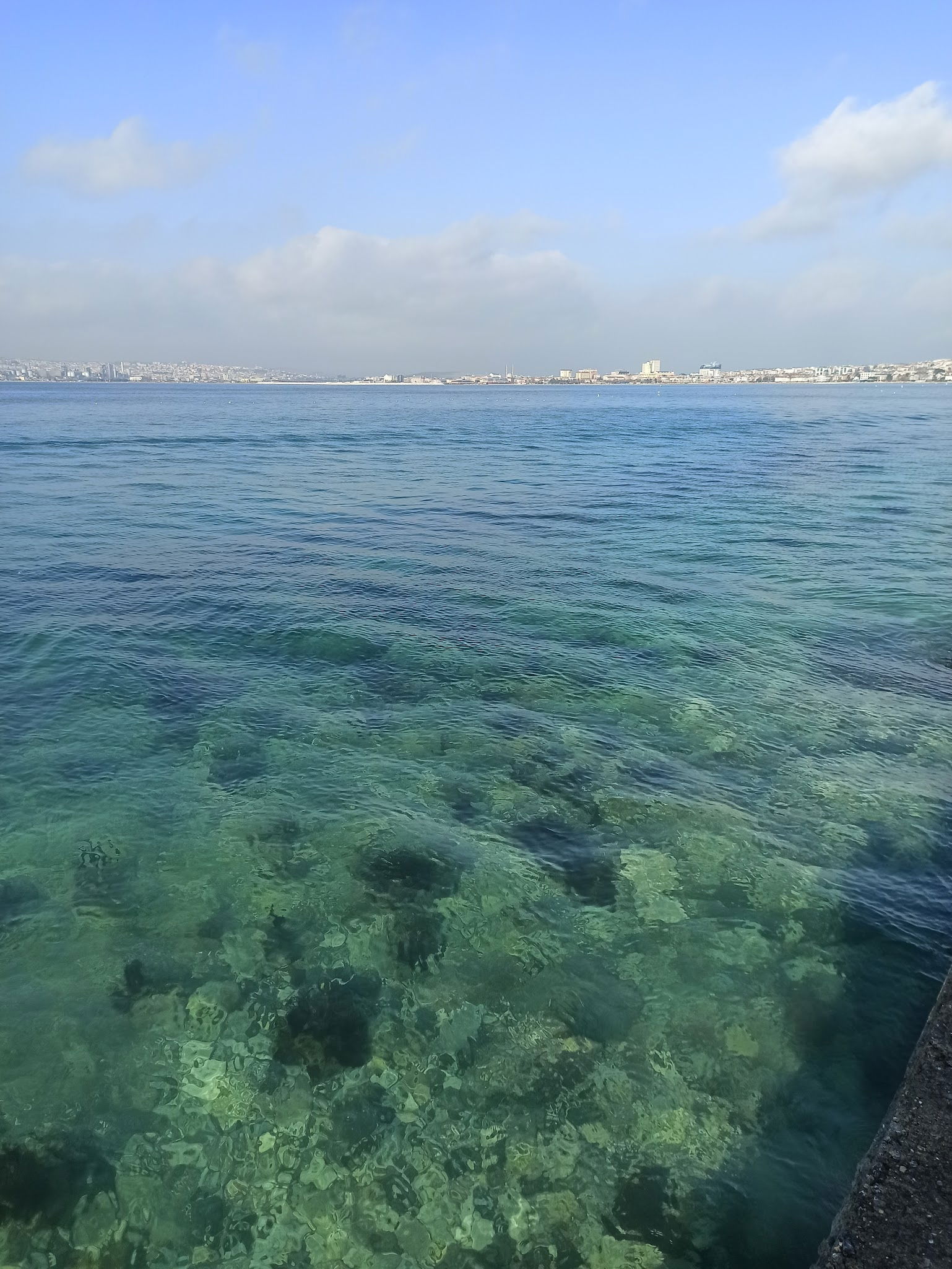 Batı Garden Cafe & Restaurant Büyükçekmece