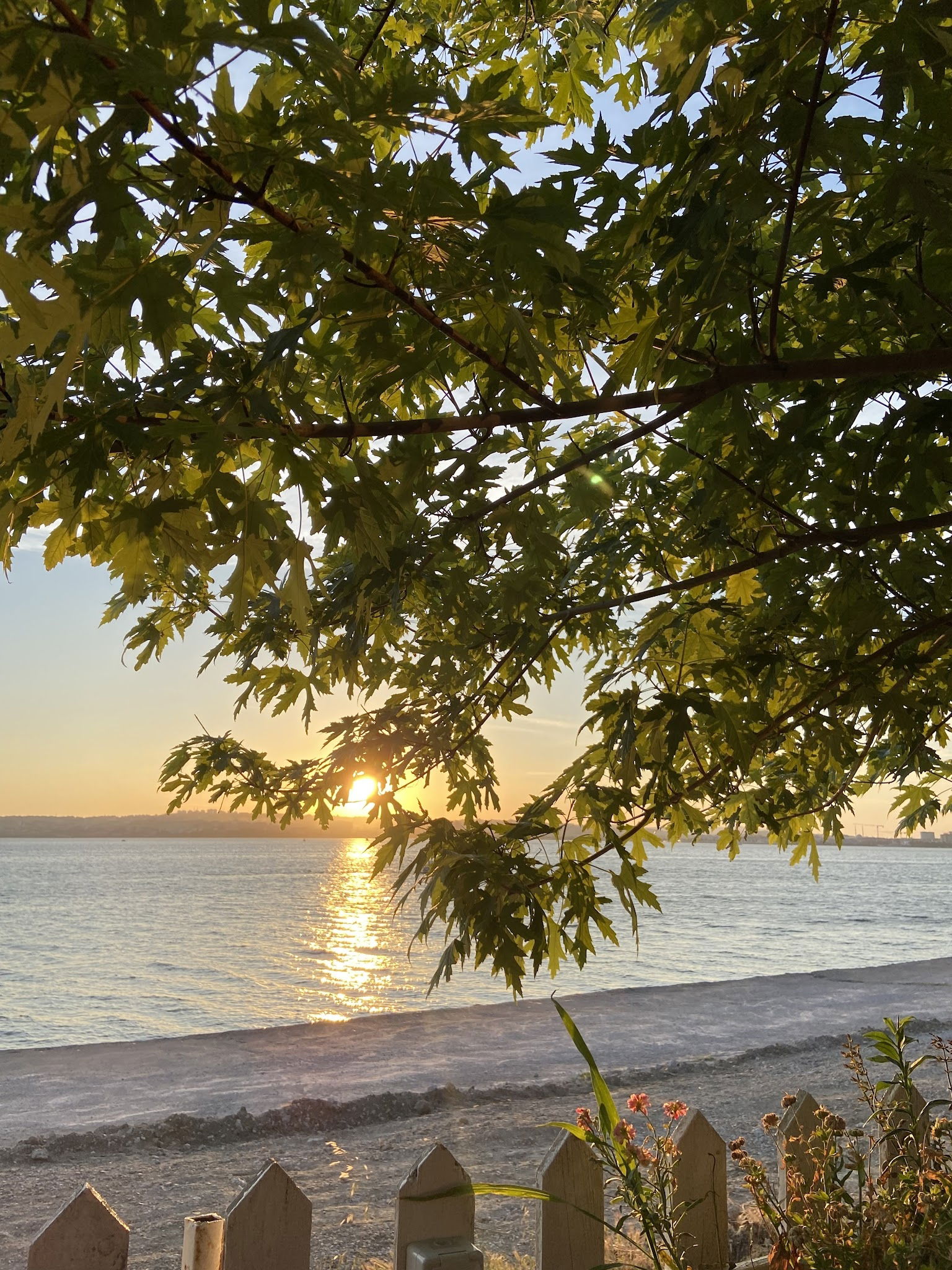 Batı Garden Cafe & Restaurant Büyükçekmece