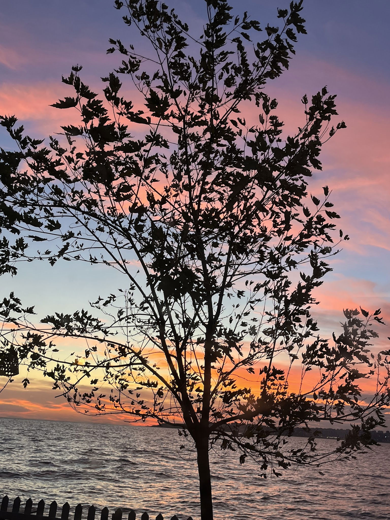 Batı Garden Cafe & Restaurant Büyükçekmece