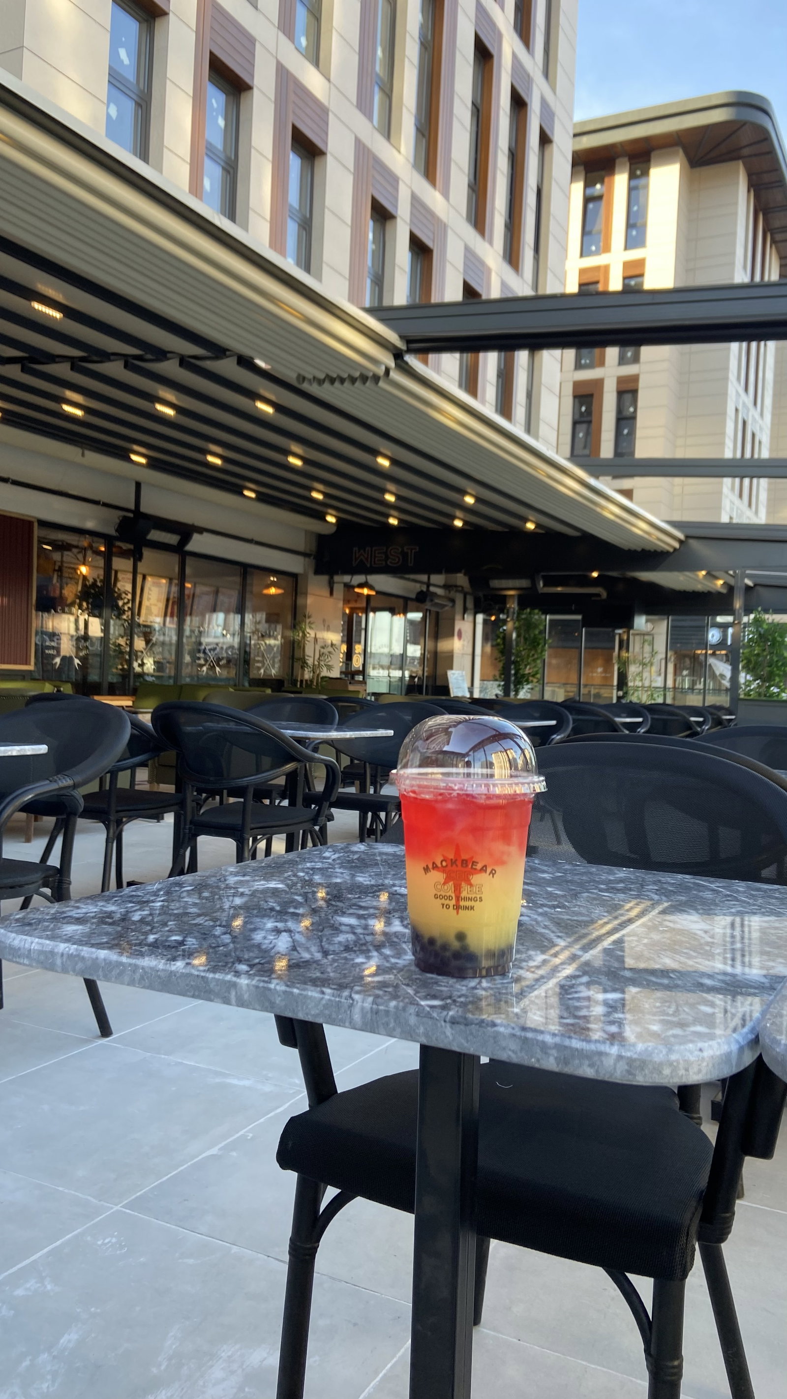 Rize Mackbear Coffee Co.