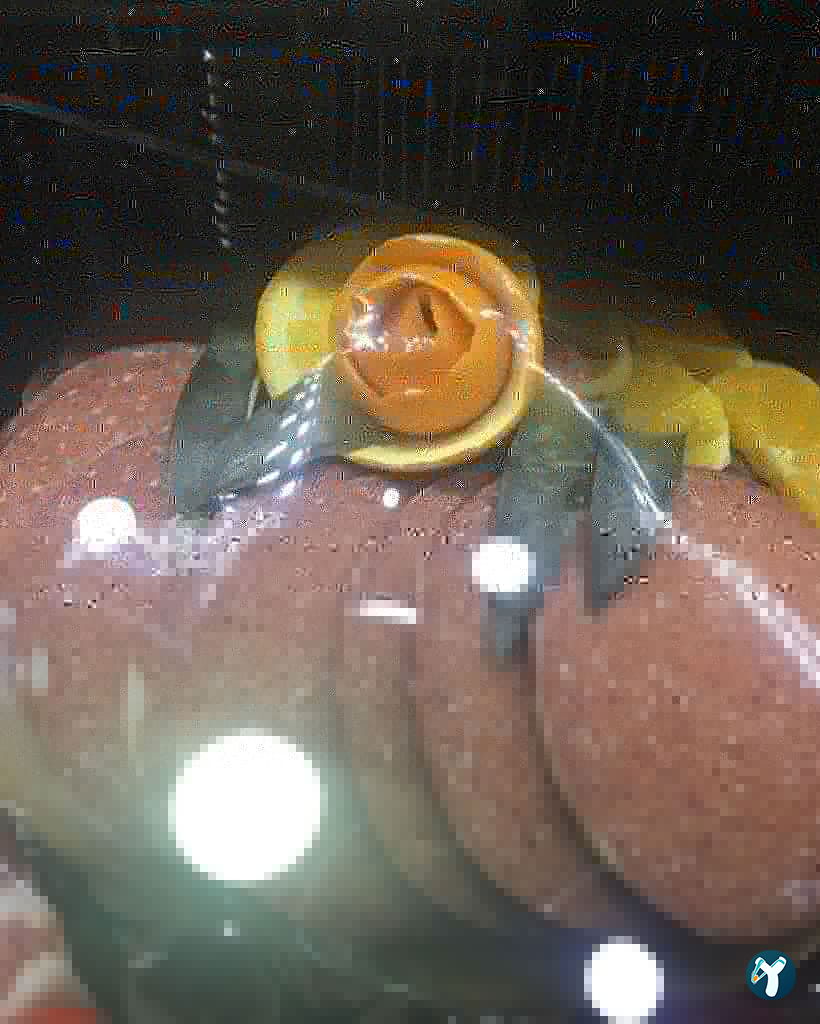 Turan Kebap