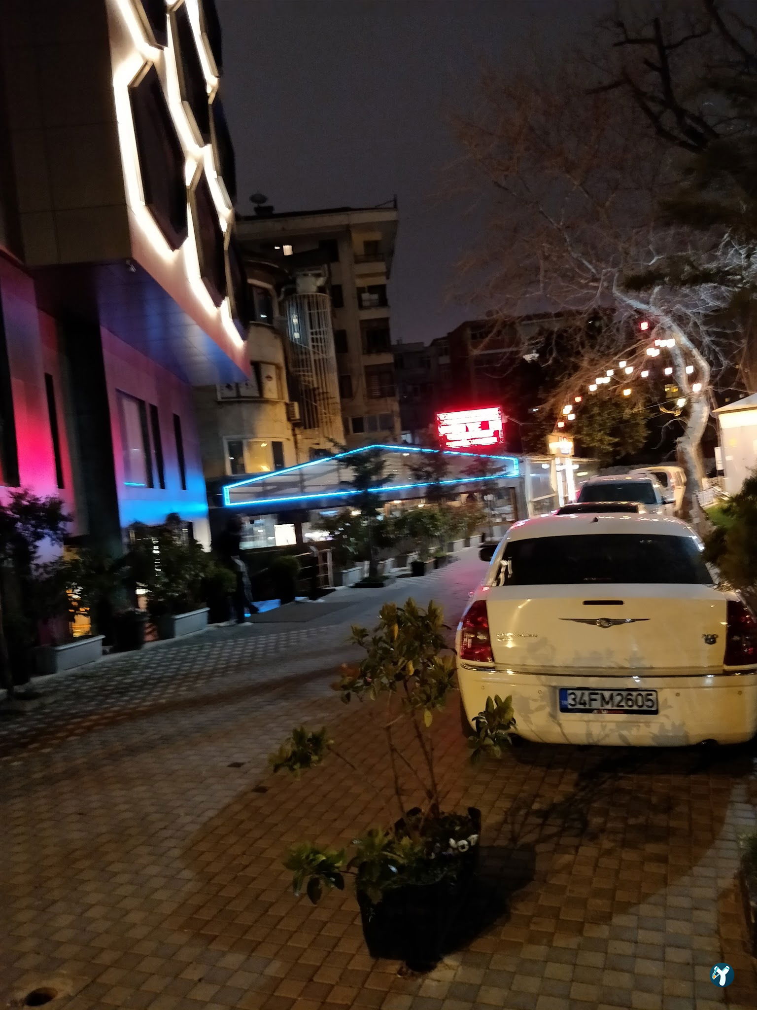 Kamelya Garden