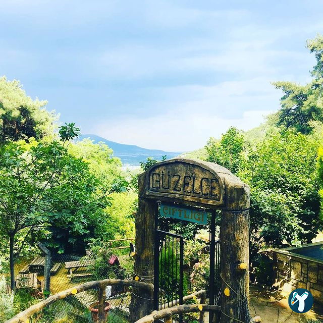 Güzelce