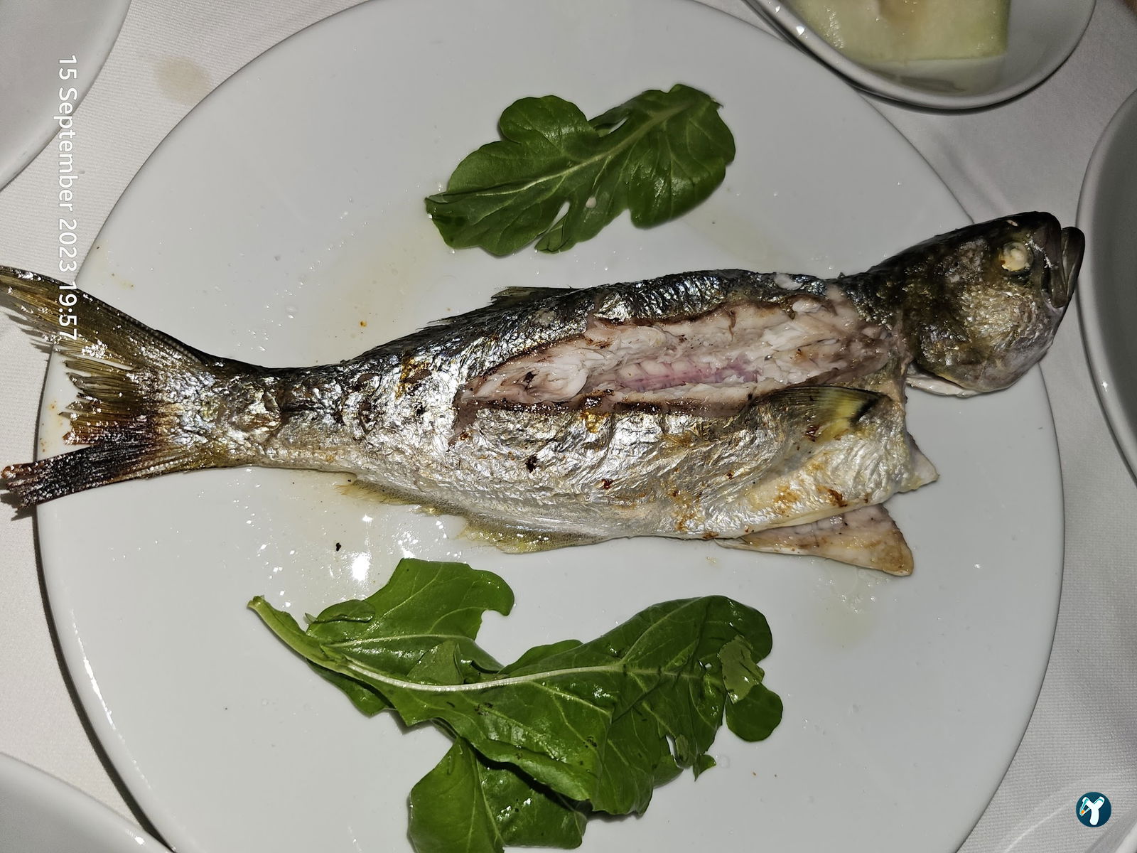 Balıkçı Kahraman