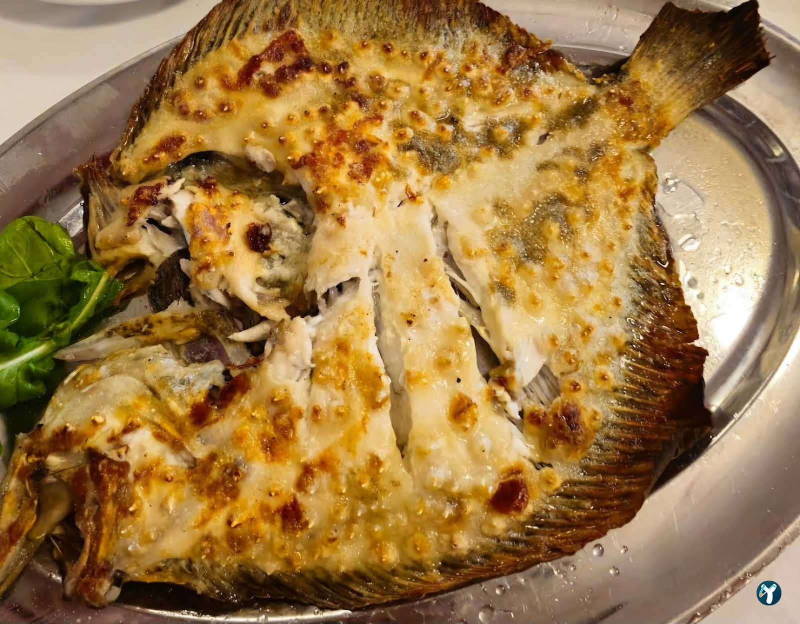 Balıkçı Kahraman