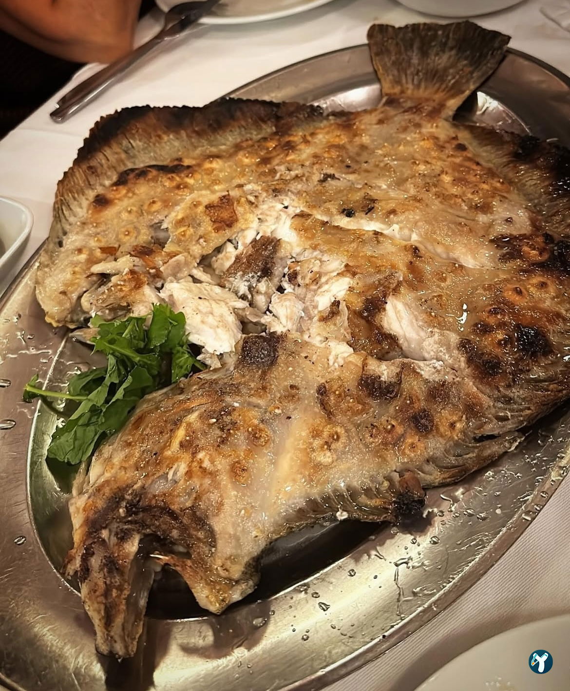 Balıkçı Kahraman