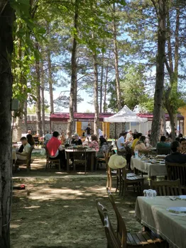 Döngeller Deluxe resimleri