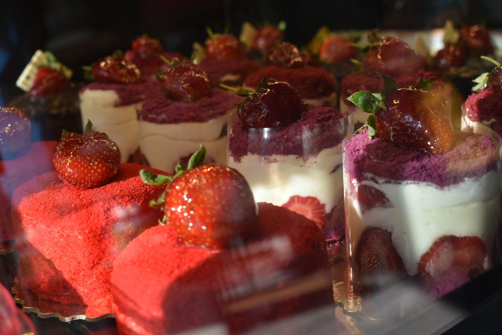 Liva Life Pasta Fırın