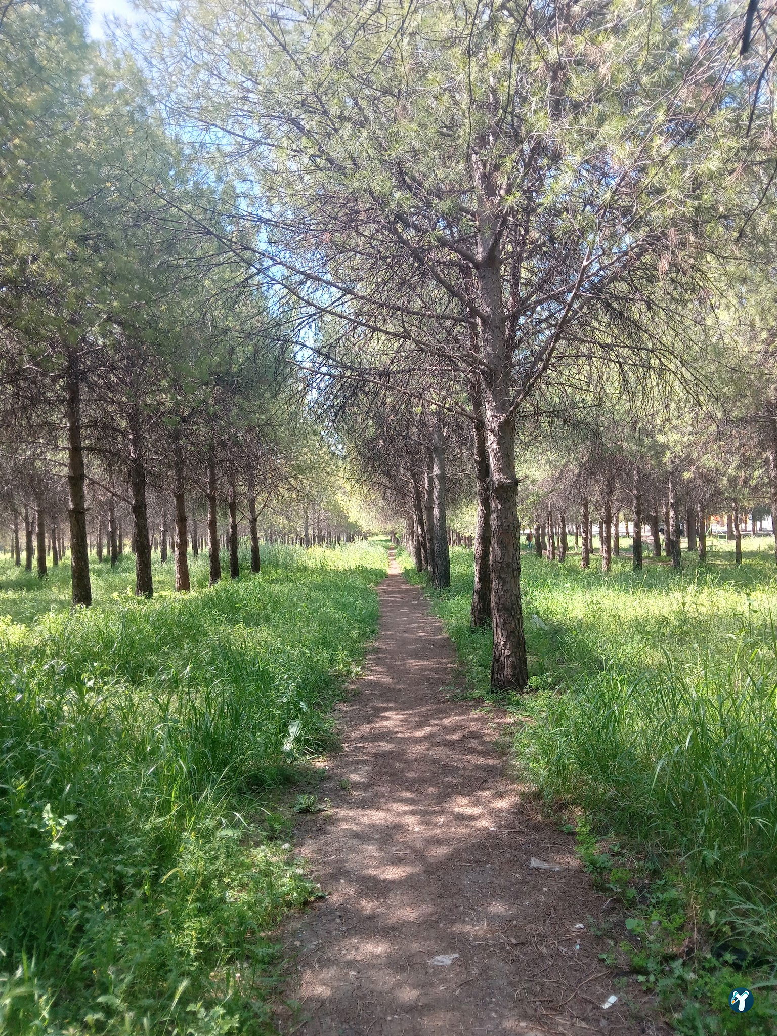 Küçükpark