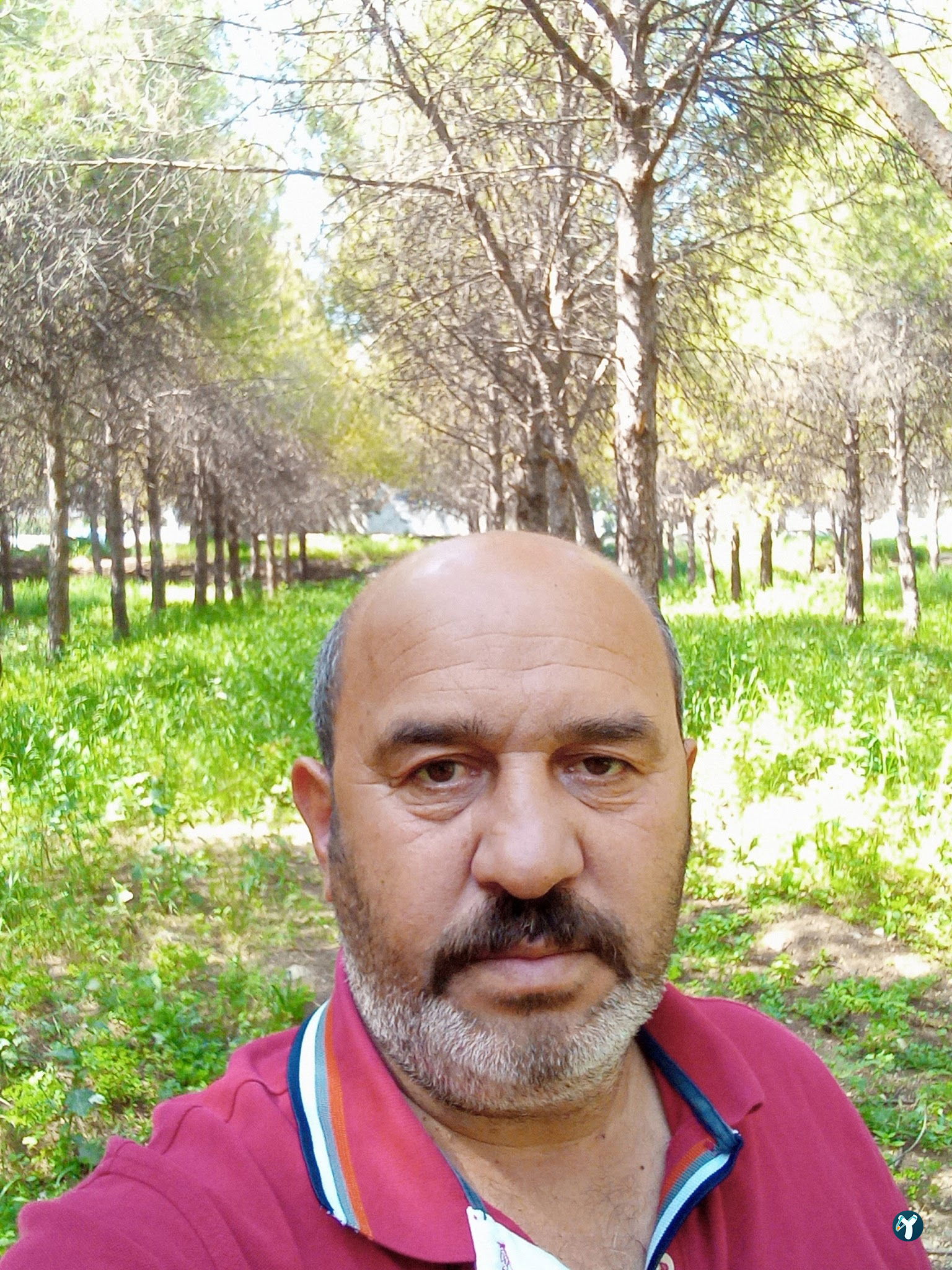 Küçükpark