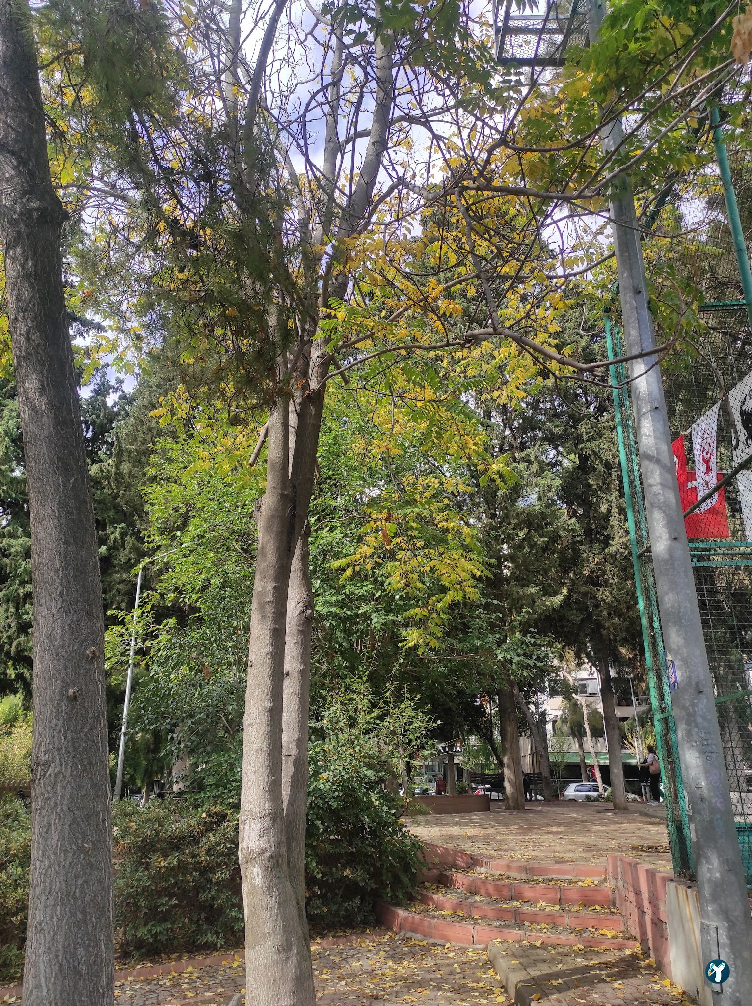 Küçükpark