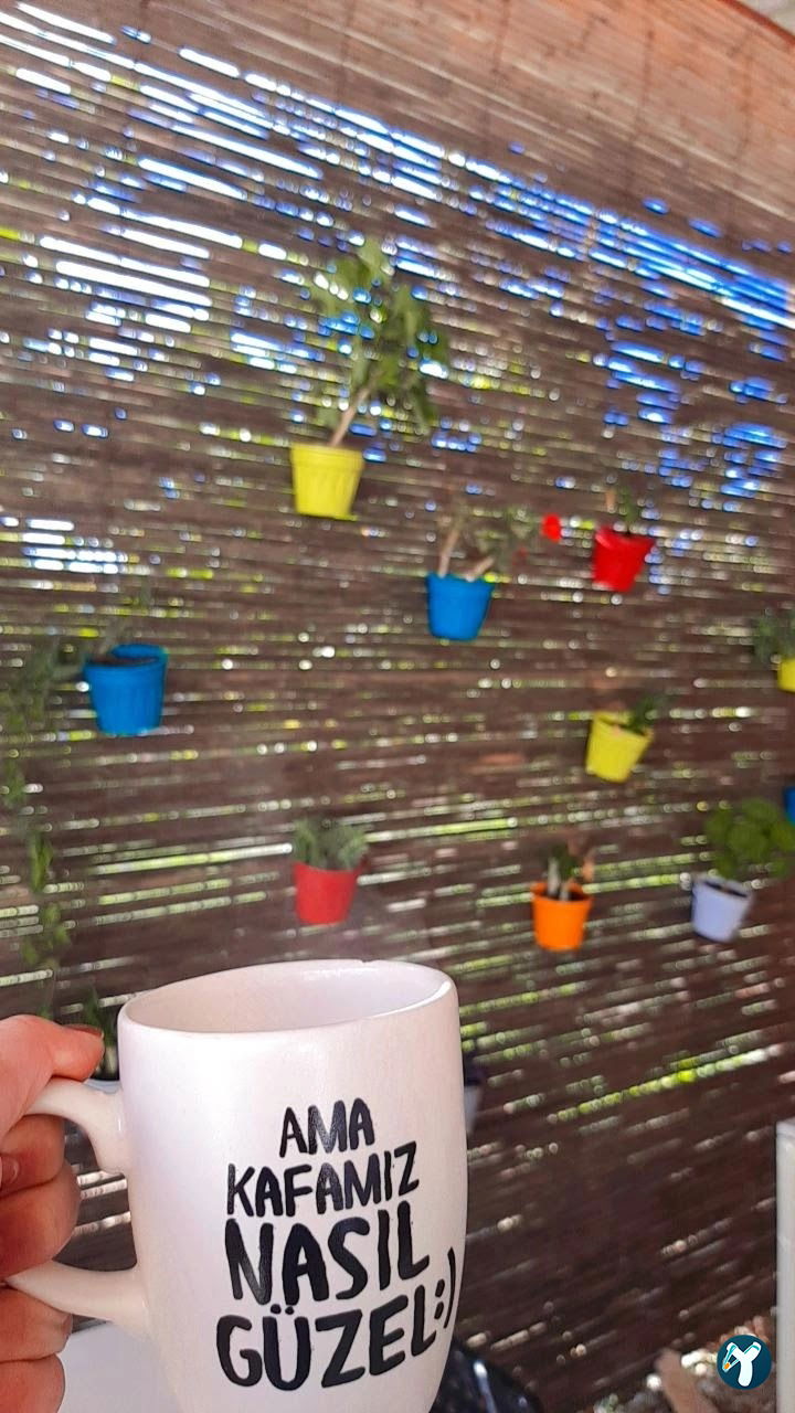 Aciktim Abla